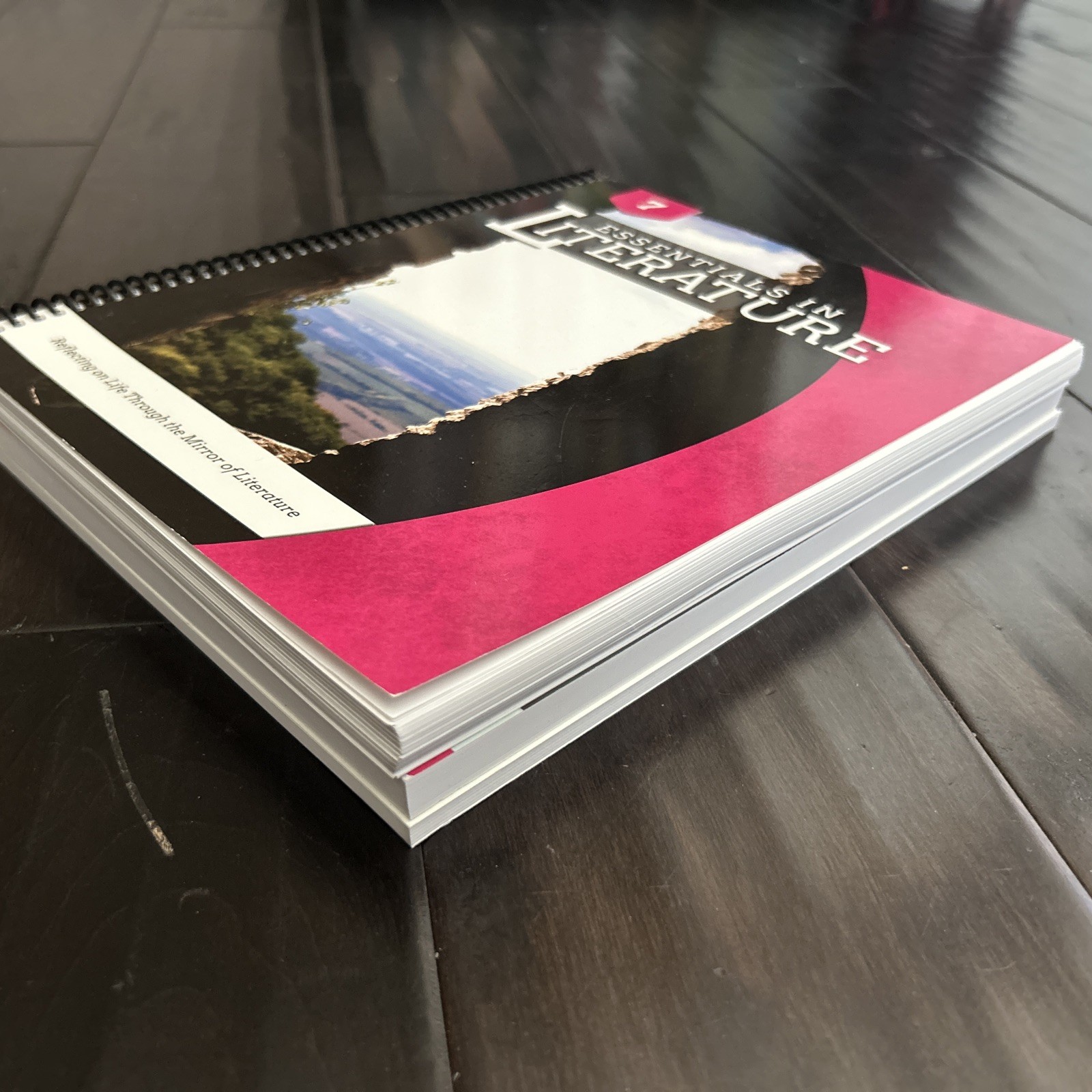 Essentials In Literature 7, EIW Assessment/Resource Booklet, DVD Lessons