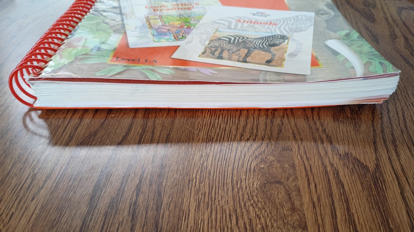 Open Court Reading Level 1 – A: Teacher’s Edition SRA Large Paperback