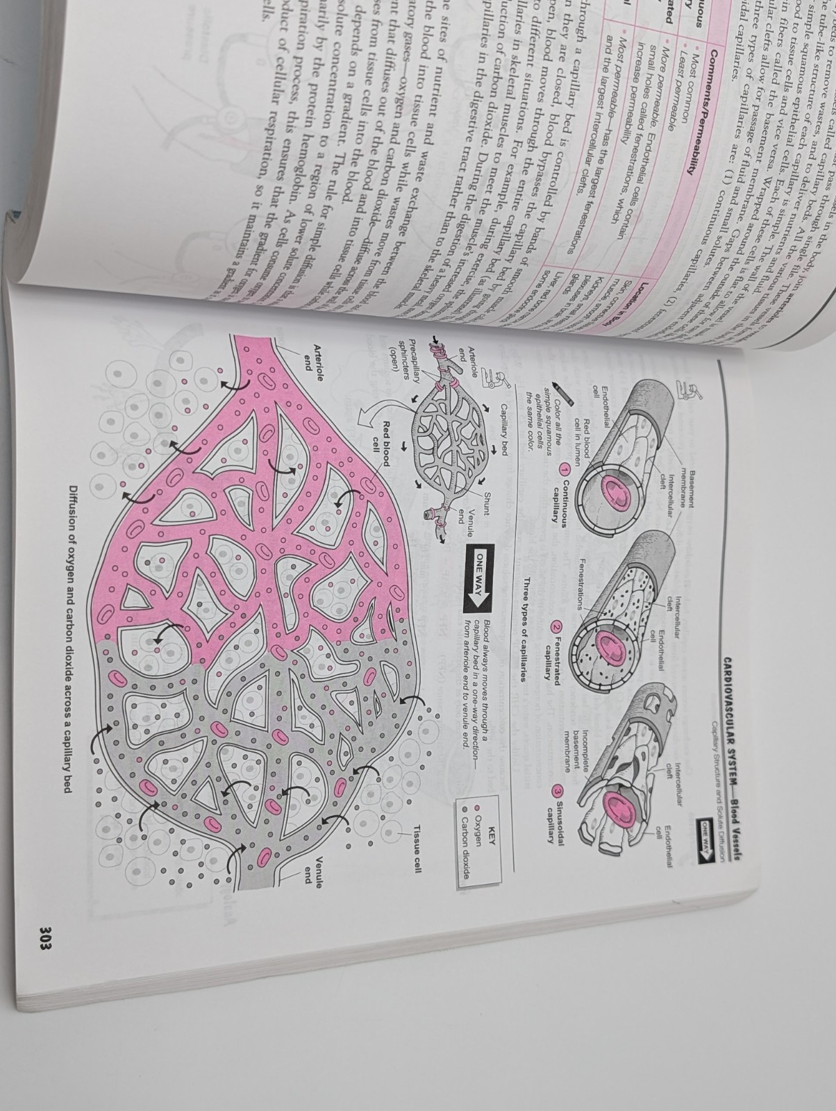 Visual Analogy Guide to Anatomy and Physiology by Paul A. Krieger (2009,…