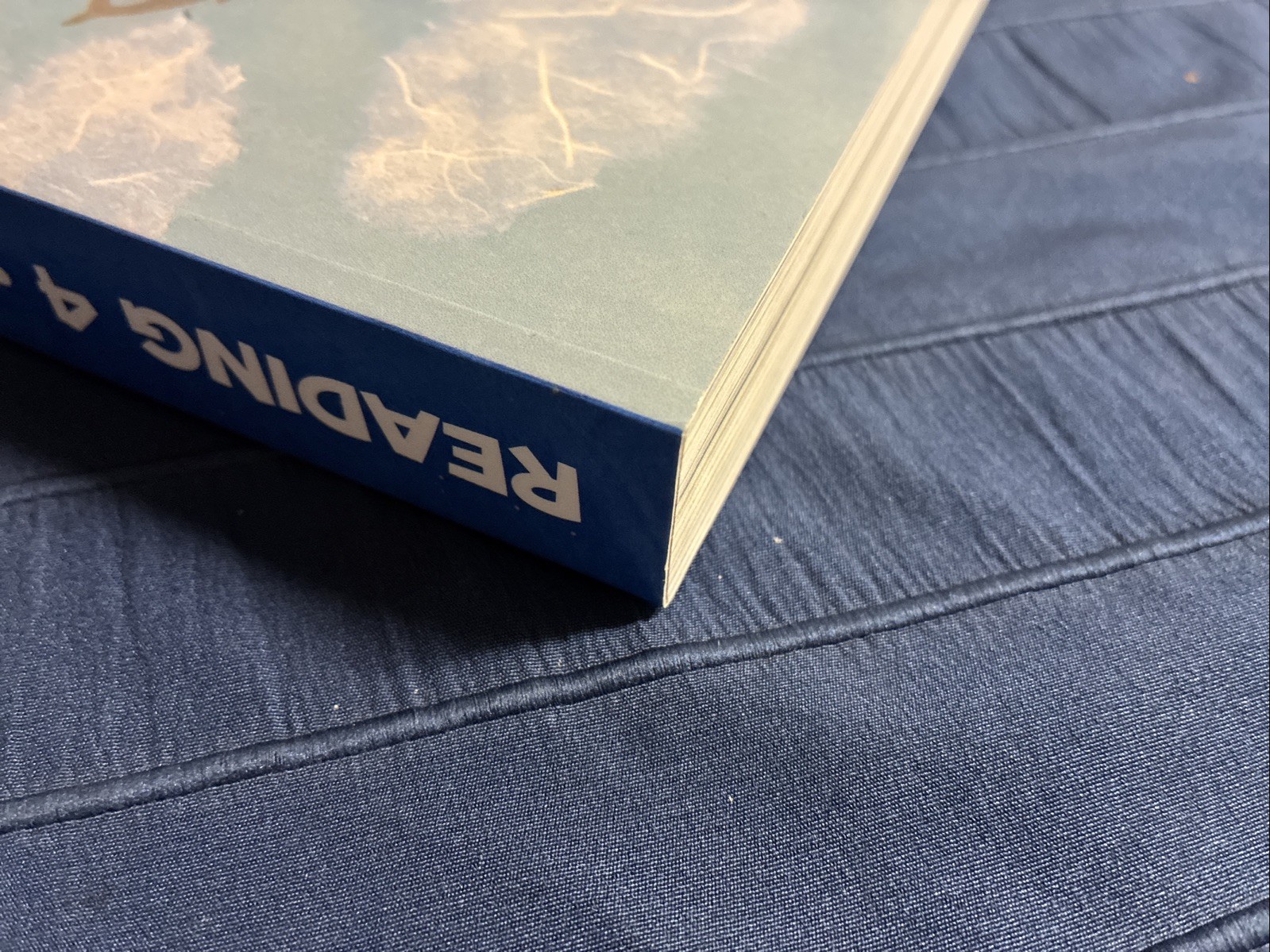 Reading 4: Voyages Textbook – Student 4th grade Book BJU Press, Third Edition