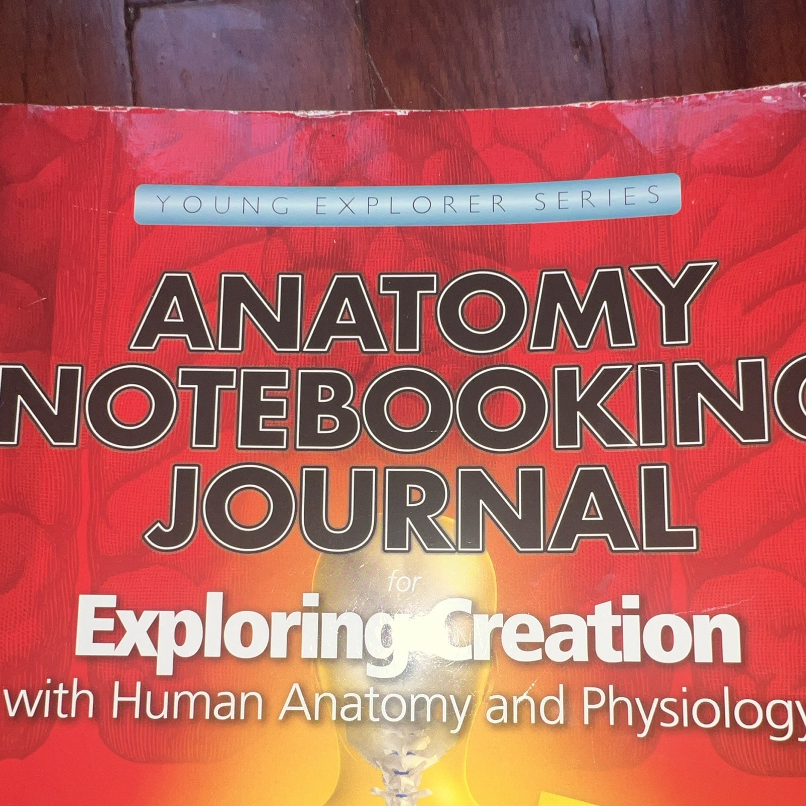 Apologia Young Explorer Anatomy Notebooking Journal, Jeannie Fulbright Spiral