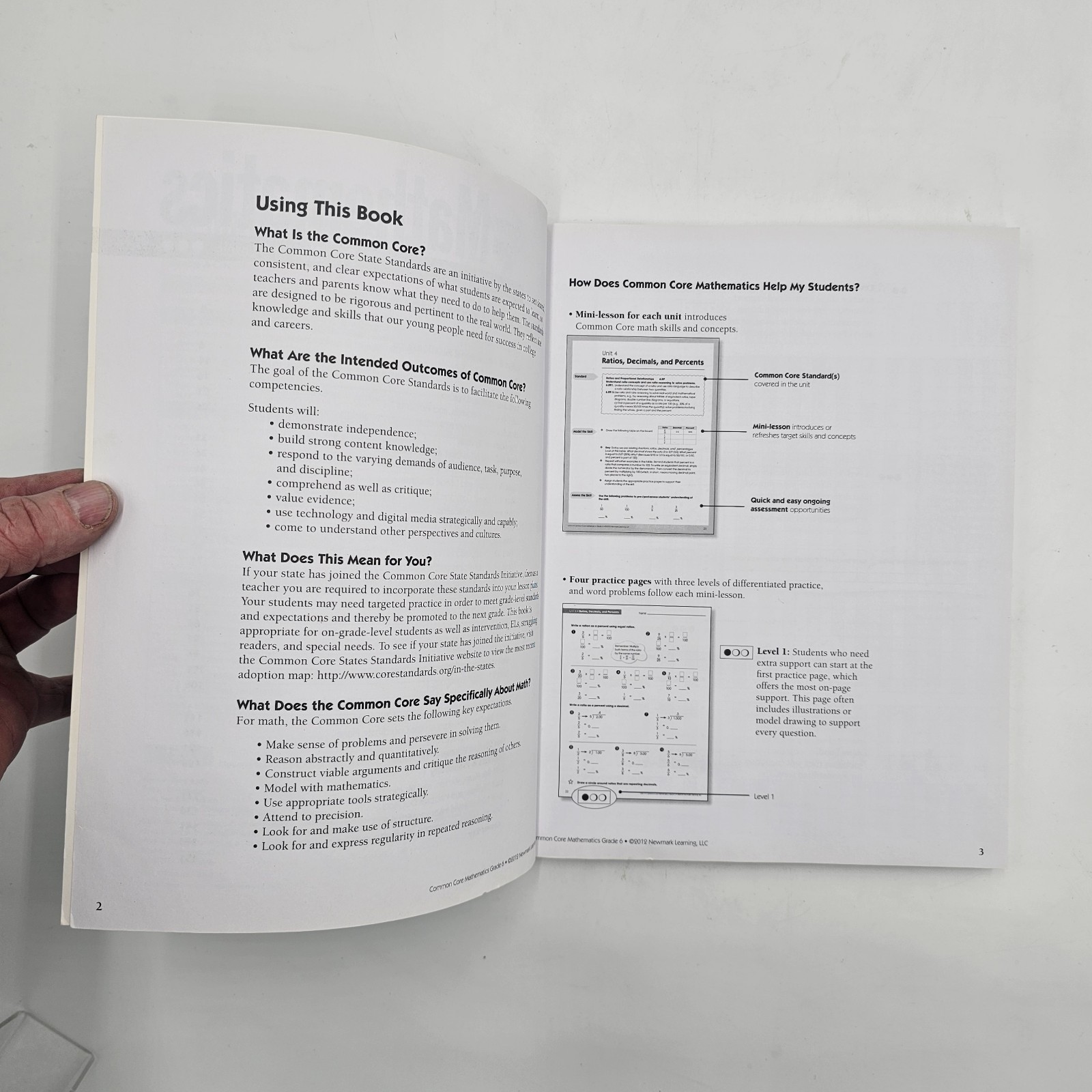 Common Core Math Grade 6 | Newmark Learning Workbook | Homeschool PB Acceptable