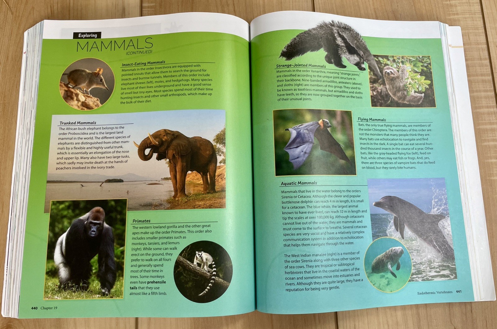 BJU Biology, Student Textbook and Lab Manual, 6th edition. Very Good Condition