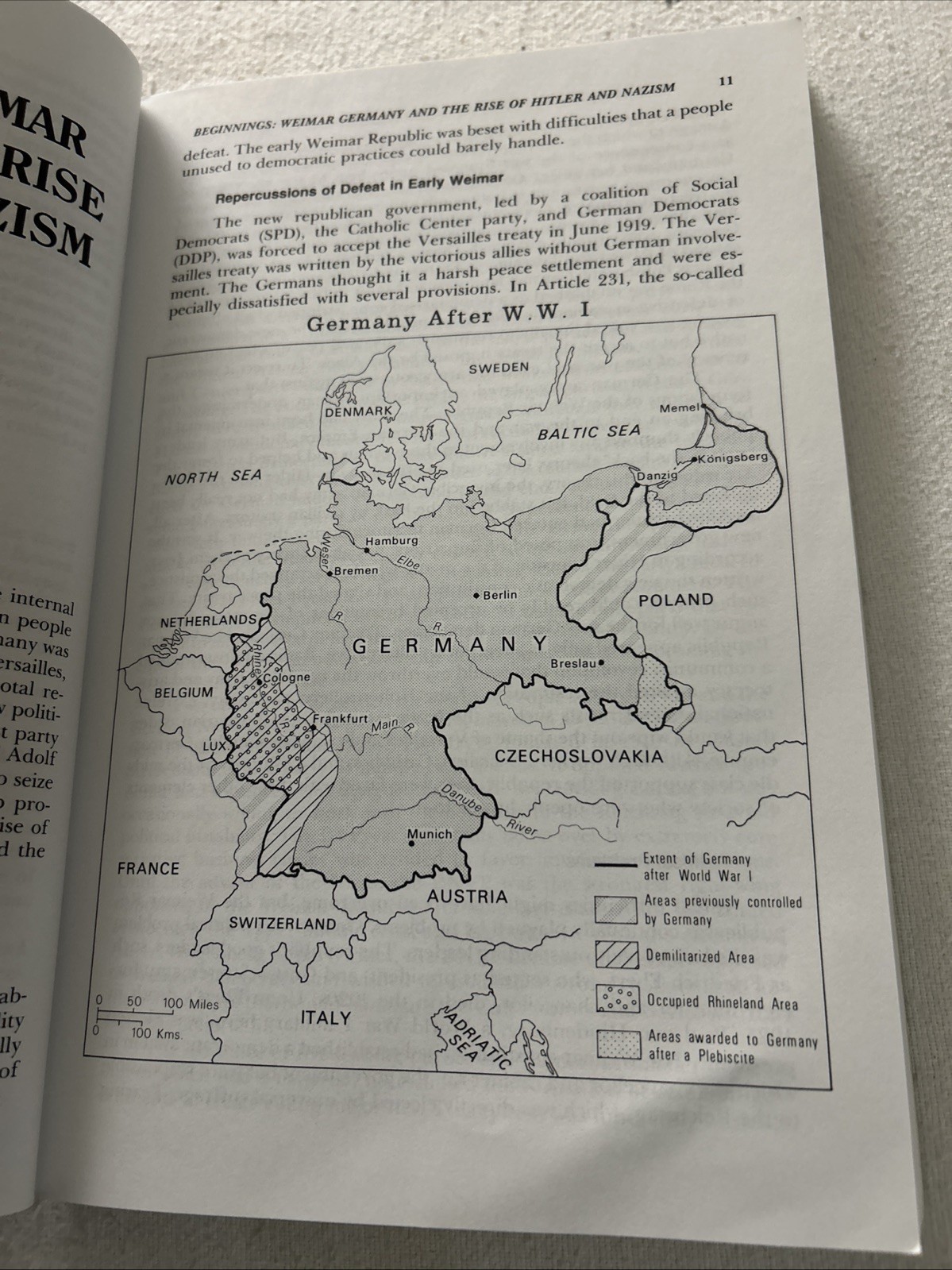 Hitler and Nazi Germany: A History by Spielvogel, Jackson P2