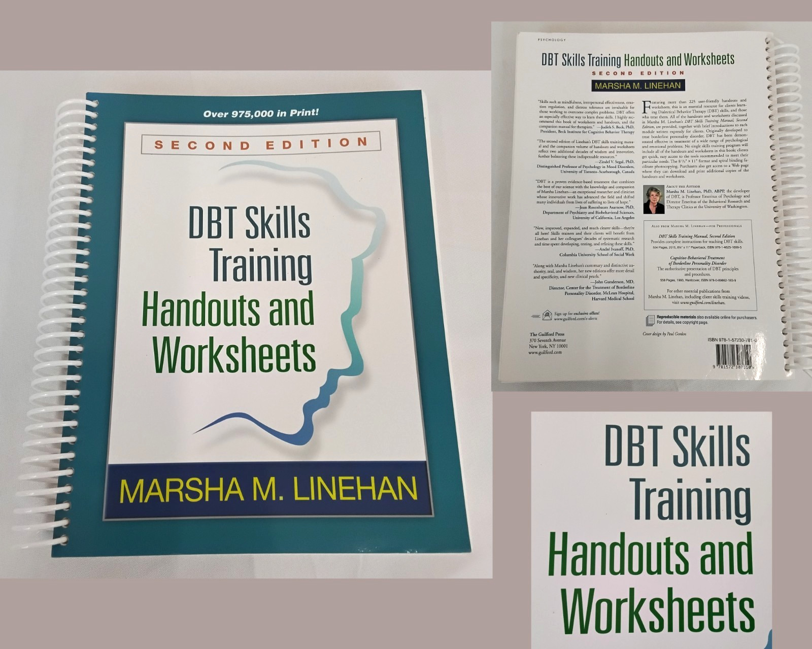 DBT Skills Training Handouts and Worksheets Spiral Bound 2nd Edition #W4410