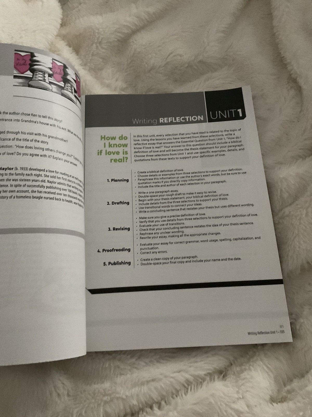 BJU Press Literature Textbook Illustrated English Book by Bju Staff