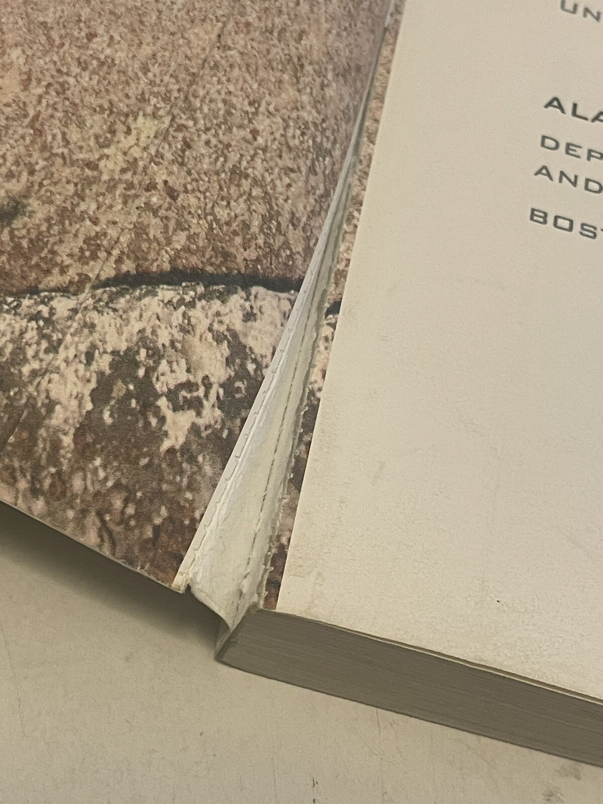 Visualizing Ser.: Visualizing Physical Geography by Timothy Foresman and Alan H.