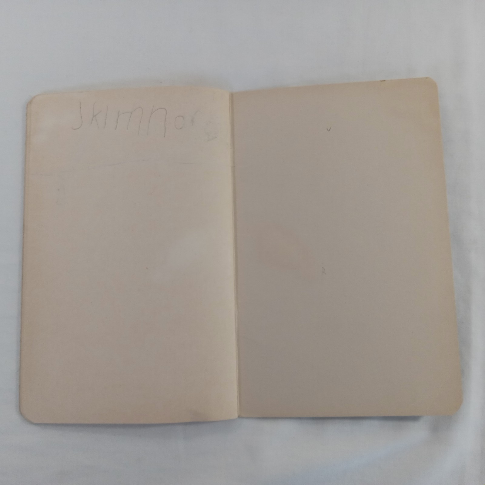 Qualitative Analysis J.O. Frank Fourteenth Edition 1948 Chemistry Booklet 38 Pgs