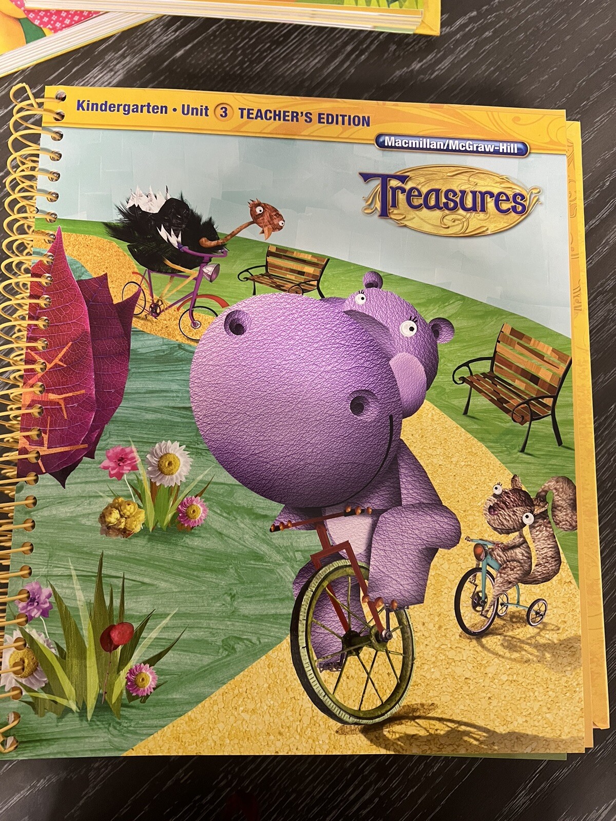 Macmillan McGraw Hill Treasures Grade K Kindergarten Teacher’s Edition 1-8 & 10