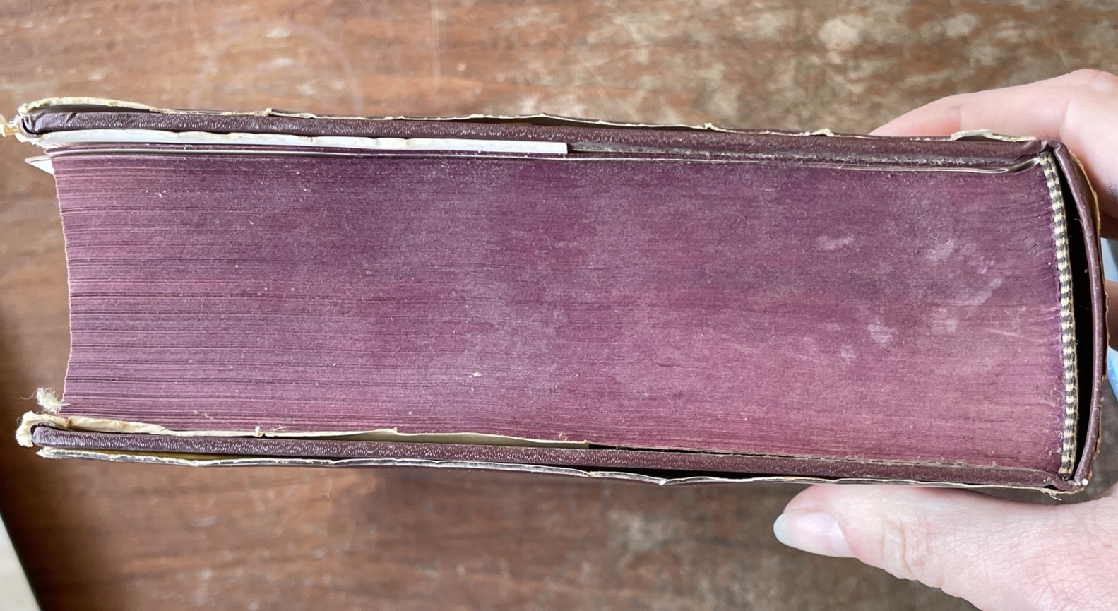 Halliwell’s Film Guide – Second Edition by Leslie Halliwell 1979 Reprint