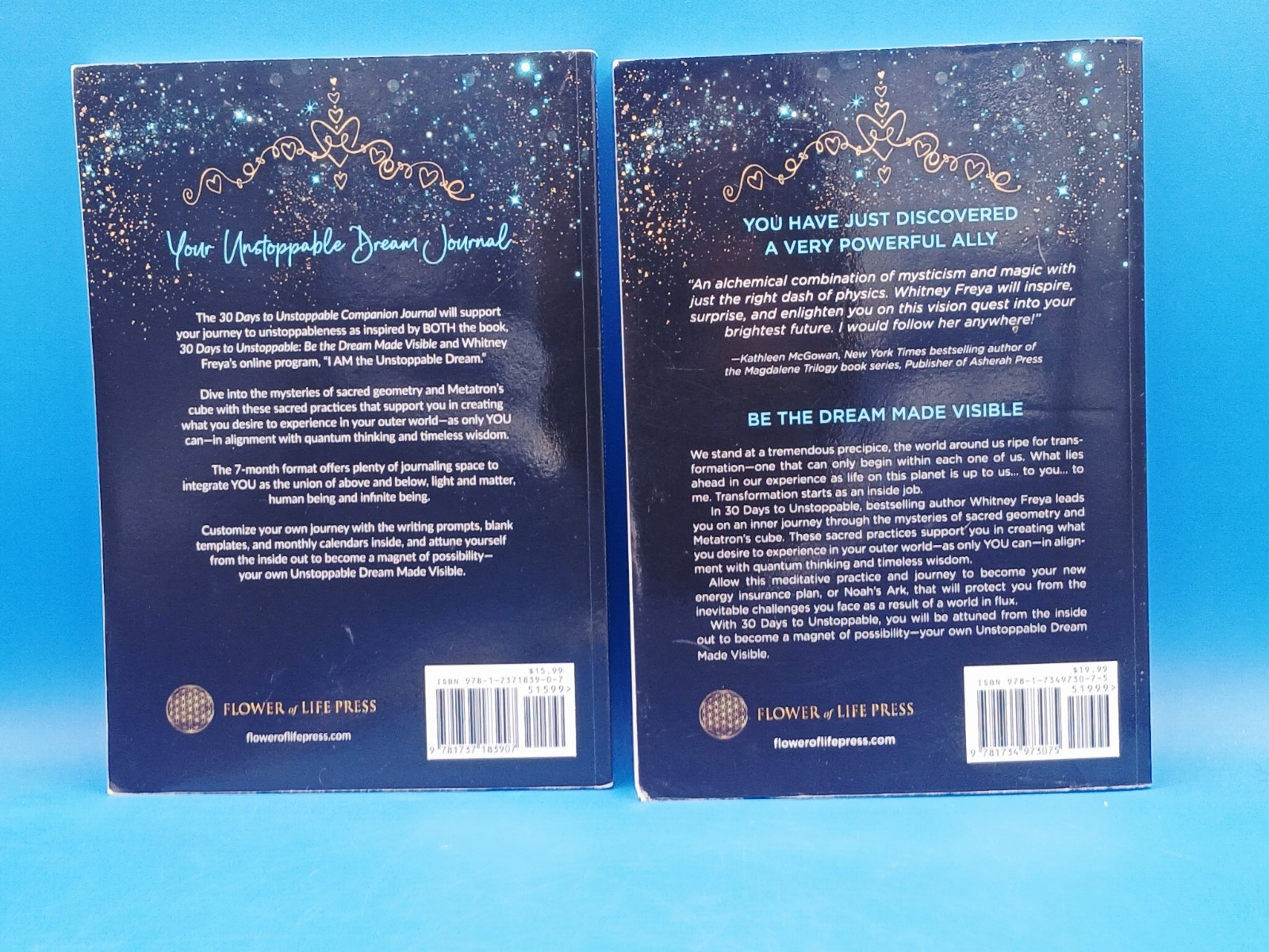 30 Days to Unstoppable: Be the Dream Made Visible + Companion Journal Book…