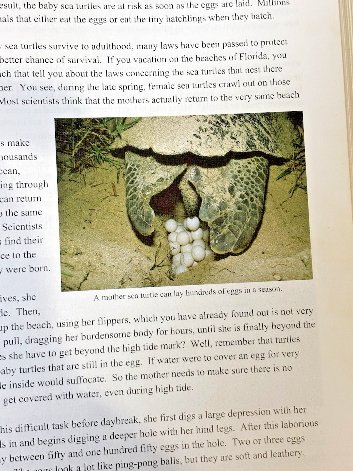 Exploring Creation With Zoology Vol 1 Young Explorers Series Fulbright Apologia