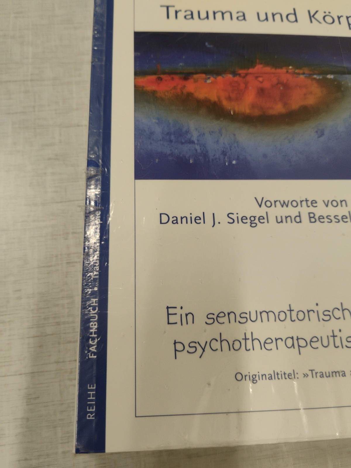 Bessel van der Trauma und Körper: Ein sensumotorisch or (Paperback) (UK IMPORT)