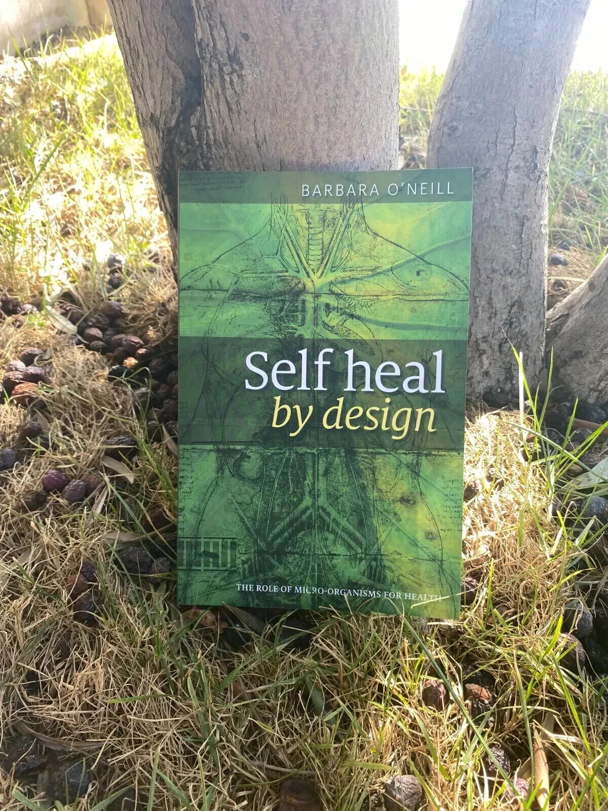Latest Edition Barbara O’Neill Self Heal By Design Book Worldwide USA STOCK