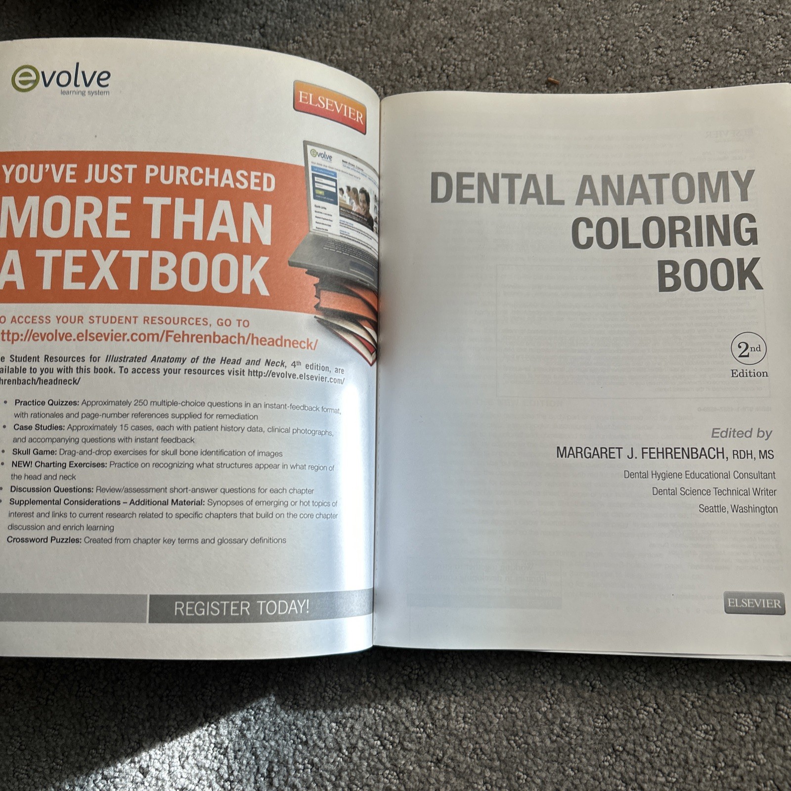 Dental Anatomy Coloring Book by Margaret J. Fehrenbach 2013, Trade Paperback
