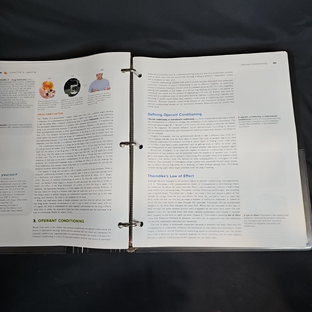 Science of Psychology 5: an Appreciative View – Looseleaf by Laura A. King (2016