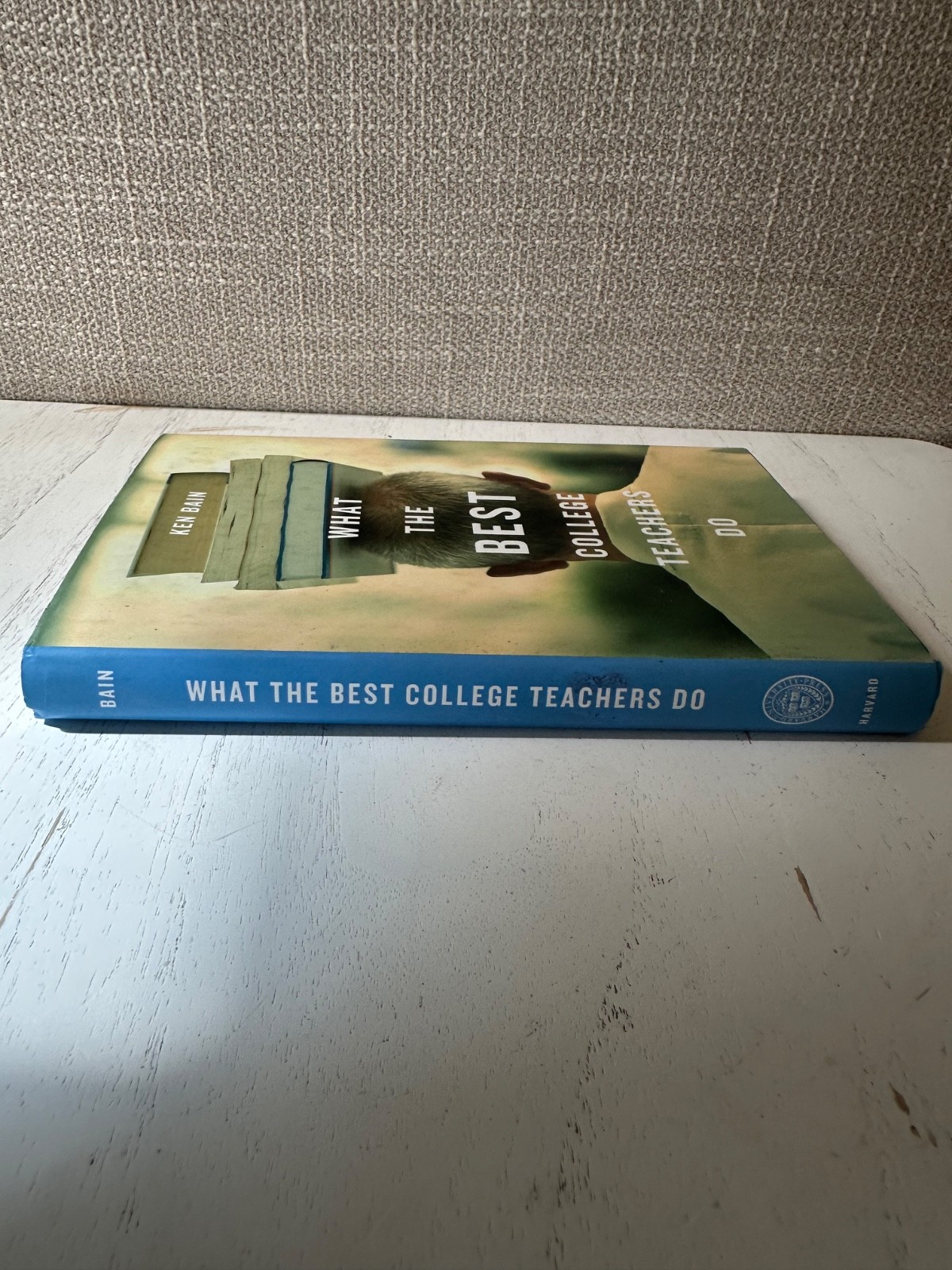 What the Best College Teachers Do – Hardcover, by Ken Bain – Very Good