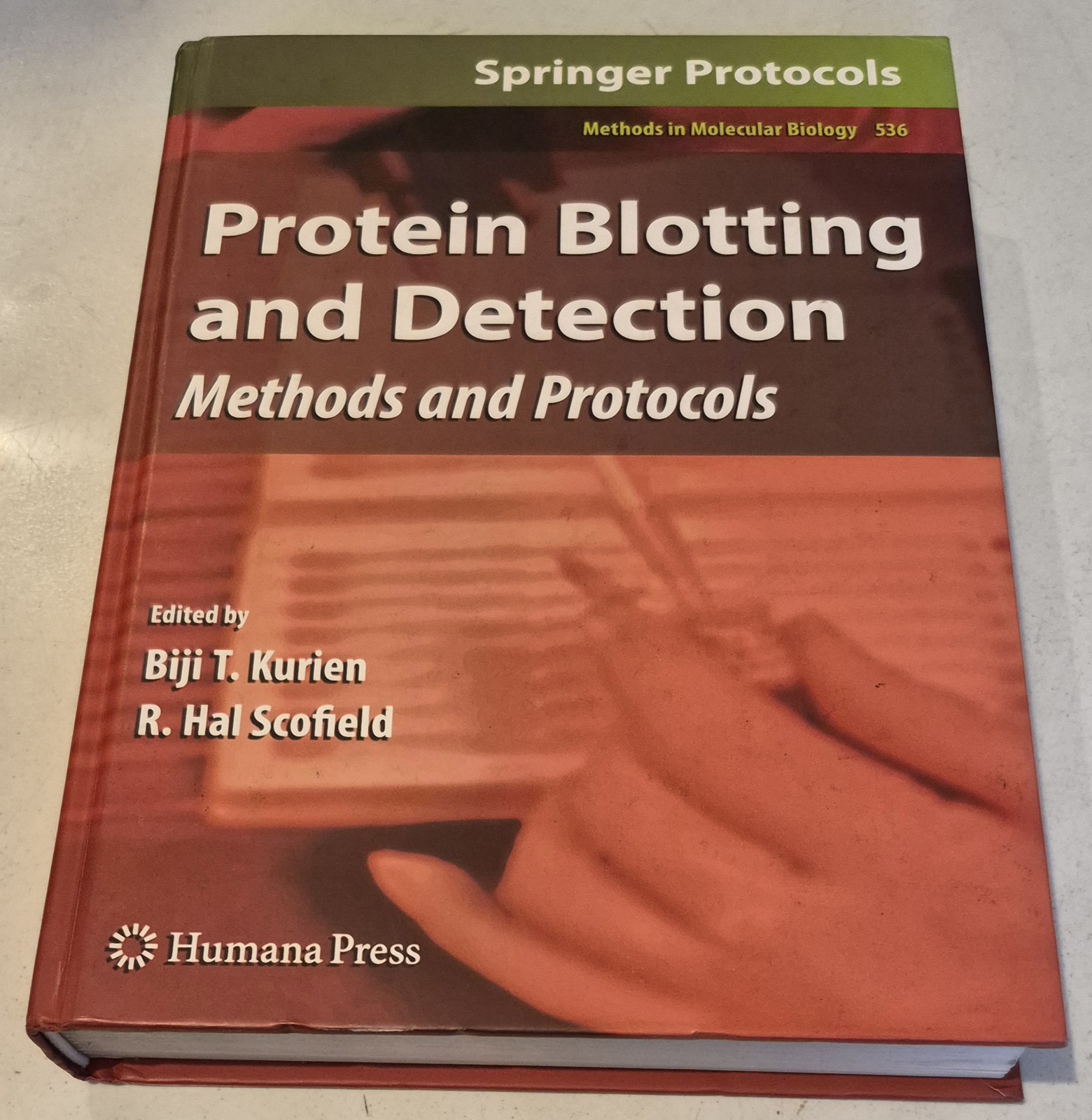 Protein Blotting and Detection: Methods and Protocols (Methods in Molecular Bi..