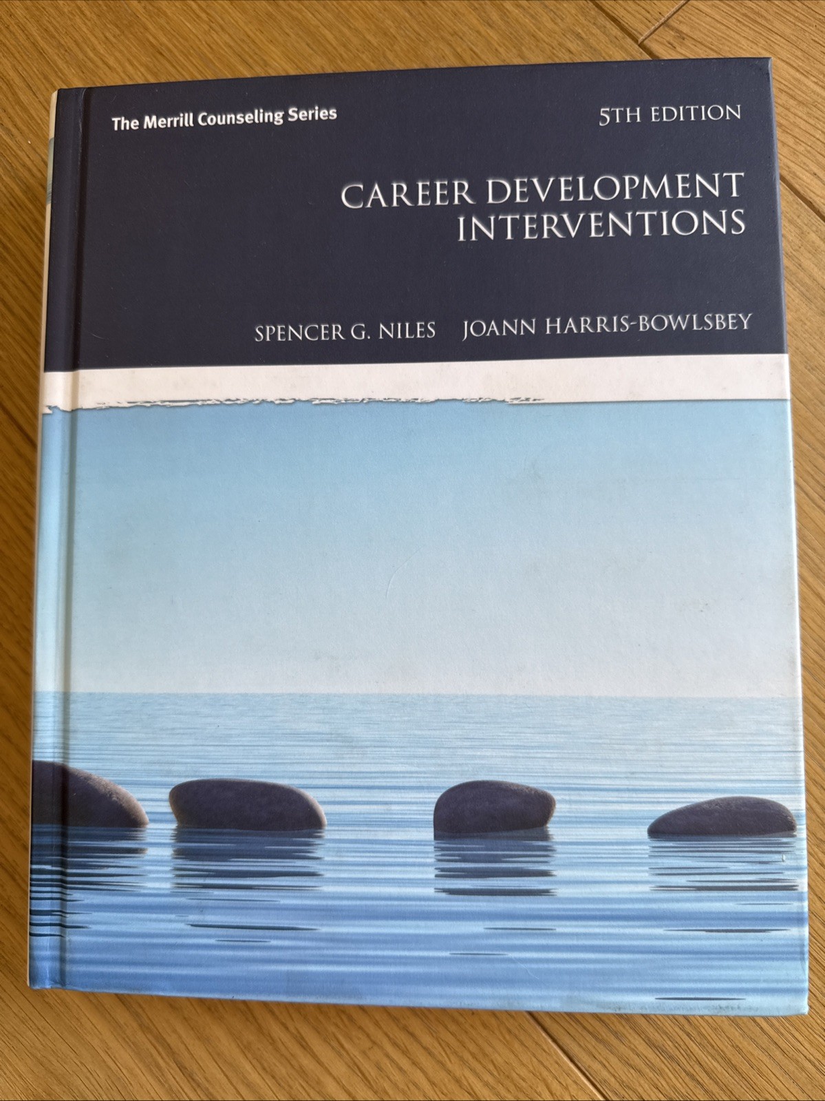 Career Development Interventions by Spencer Niles and Joann Harris-Bowlsbey