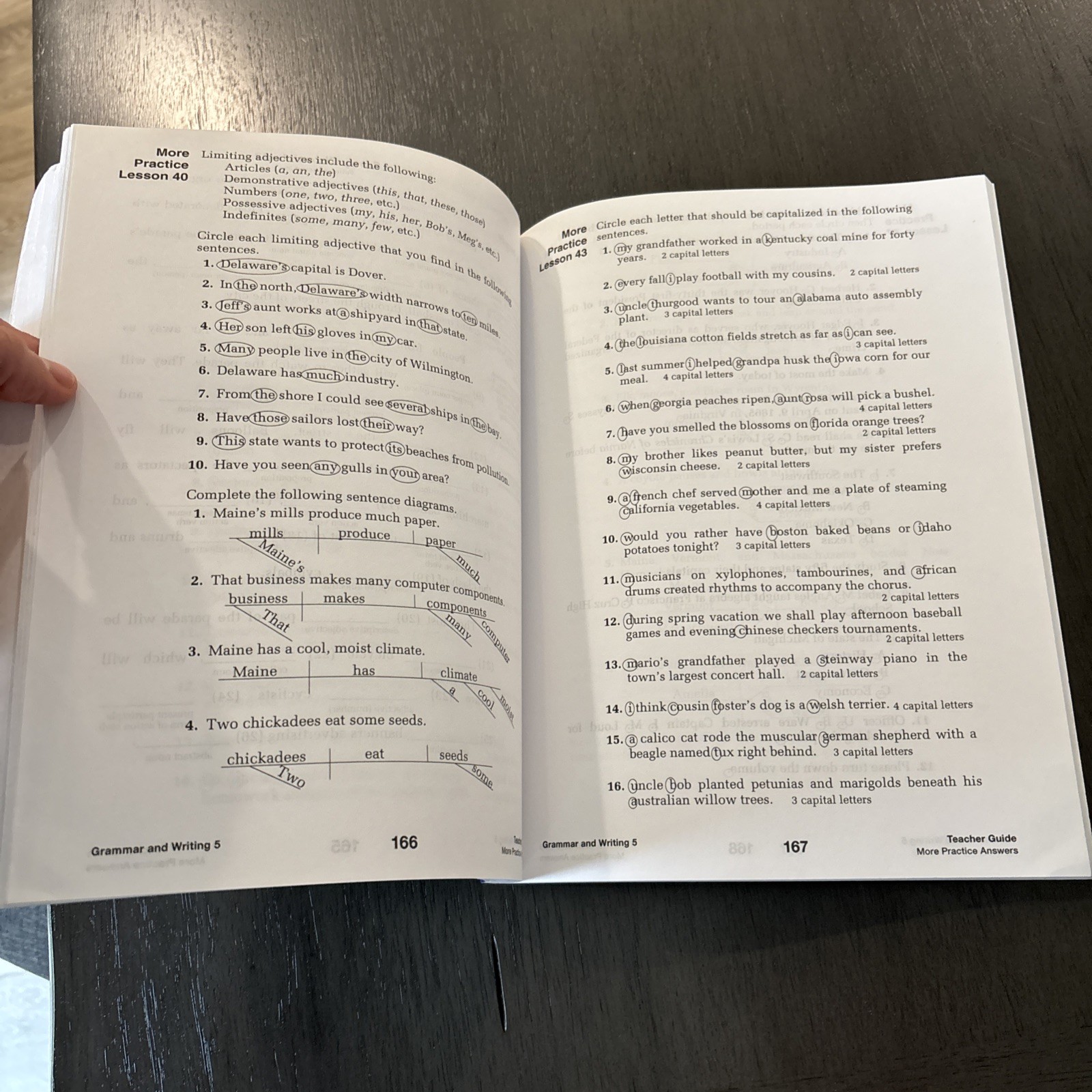 Grammar and Writing 5 (Stephen Hake Grammar)