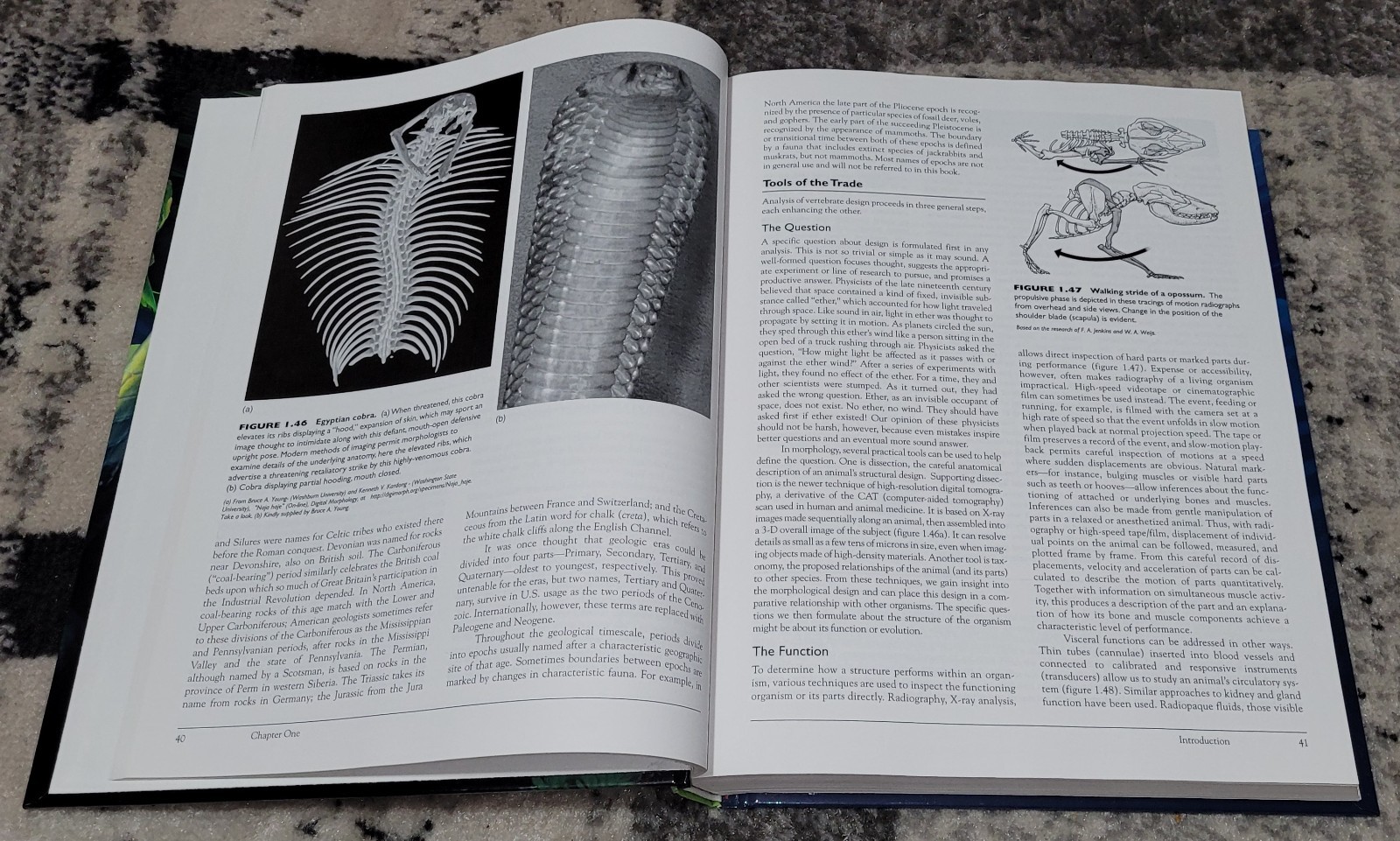 Vertebrates + Lab Dissection Manual