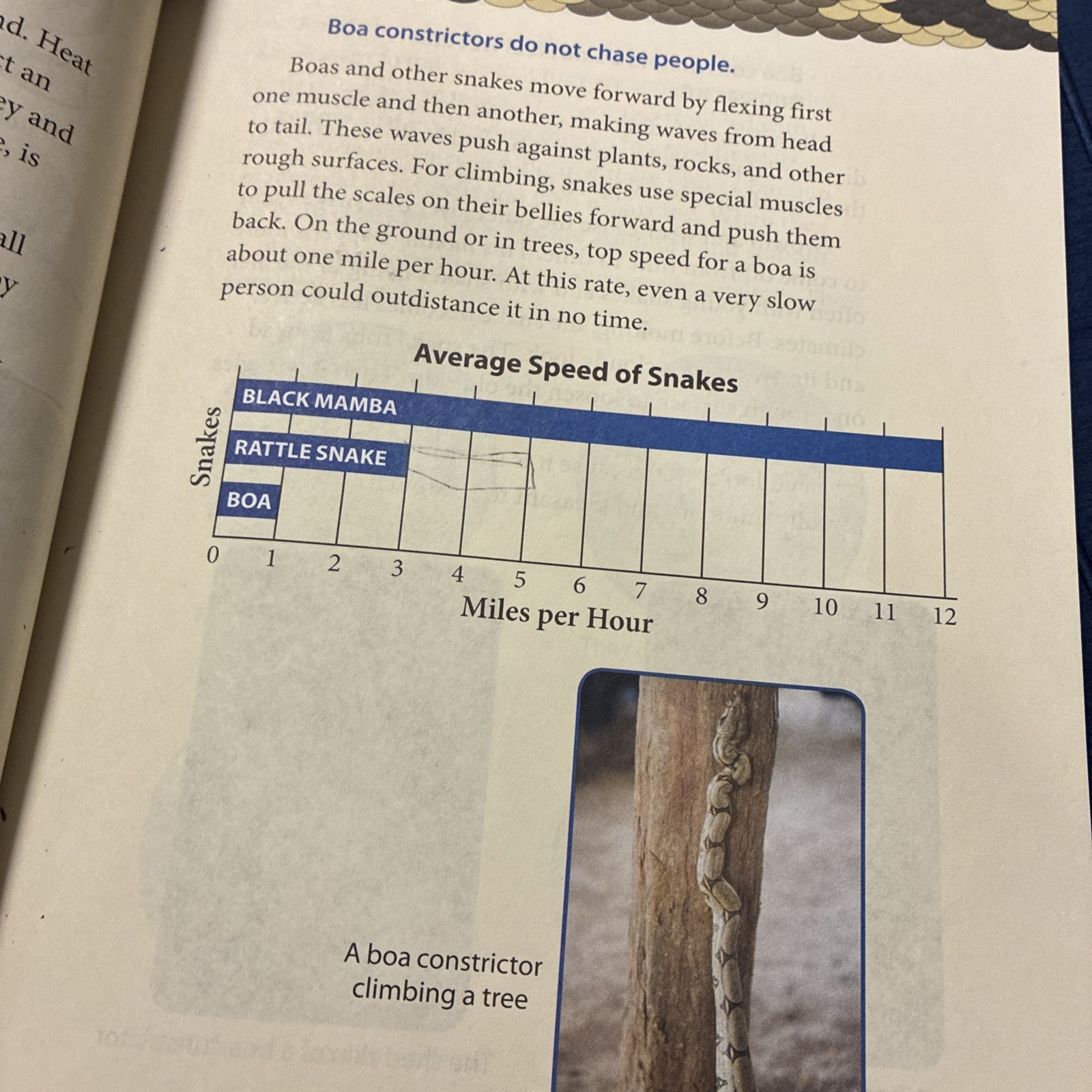 BJU Adventures in Reading 3A and 3B – Grade 3 Texts Third Editions, Two Books
