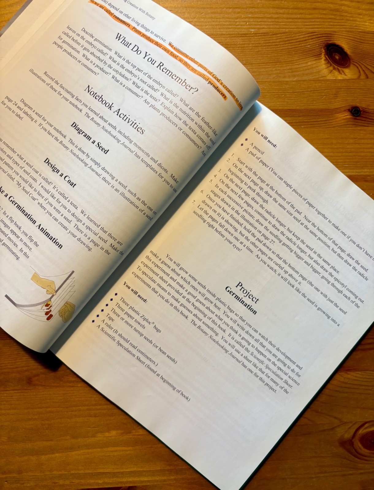 Young Explorer Series: Exploring Creation with Botany Textbook-Jeannie Fulbright