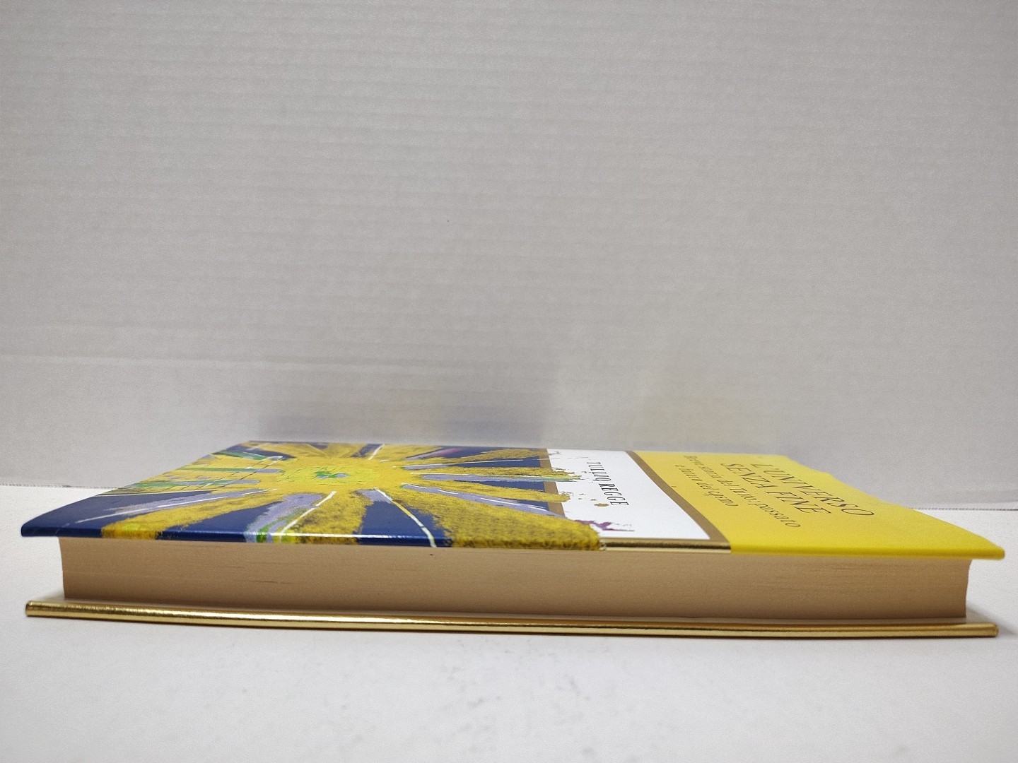 L’UNIVERSO SENZA FINE by Tullio Regge ~ Italian Edition (1999, 1st Ed HC/DJ)