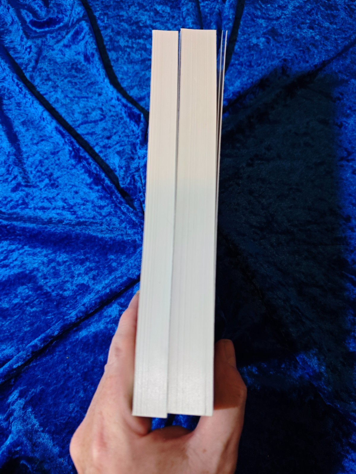 The Open University A112 Cultures Books 1 & 2 Course Textbook / OU – LIKE NEW!