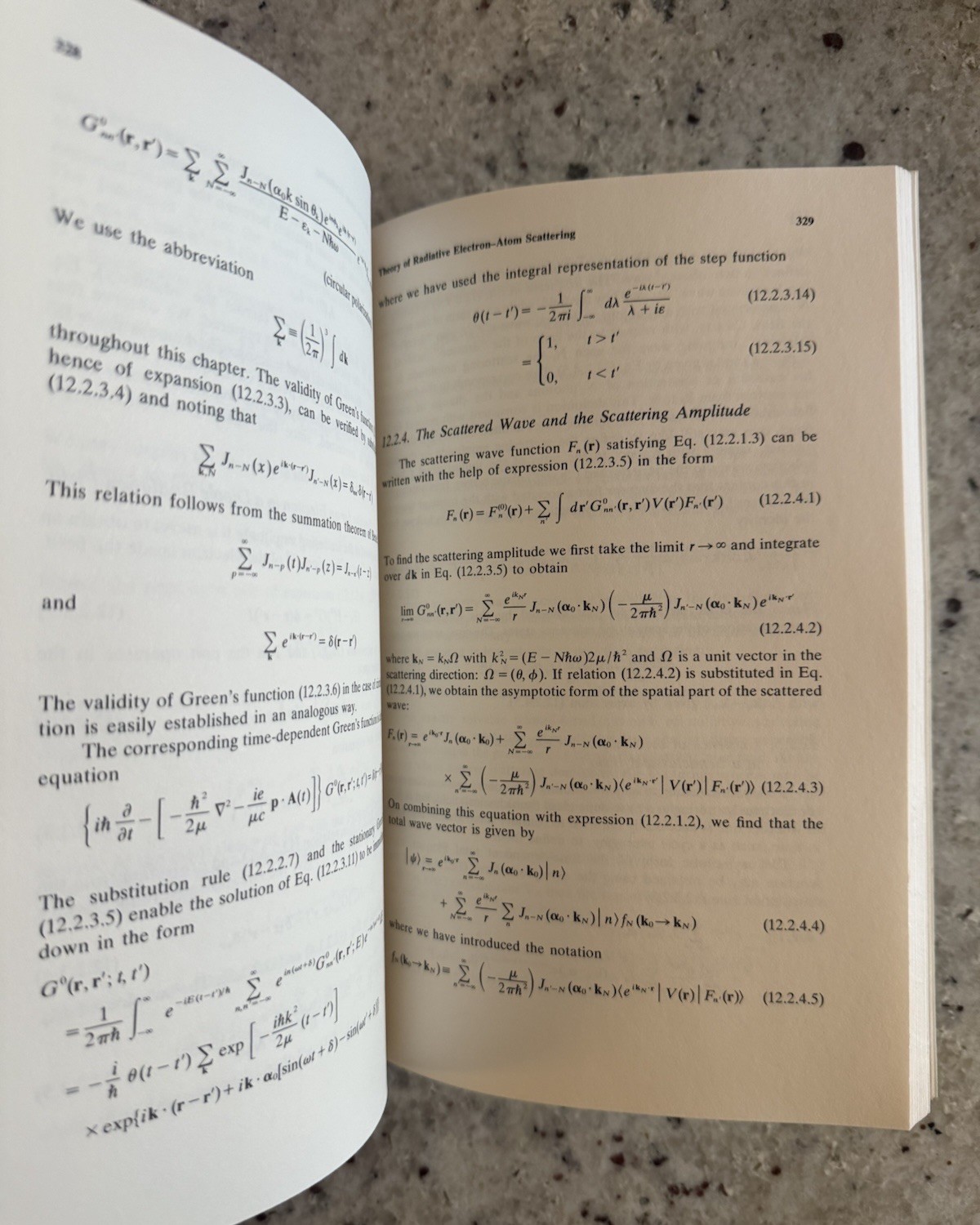 LANL Scientist Copy! Theory of Multiphoton Processes by F H M Faisal 1987 HC