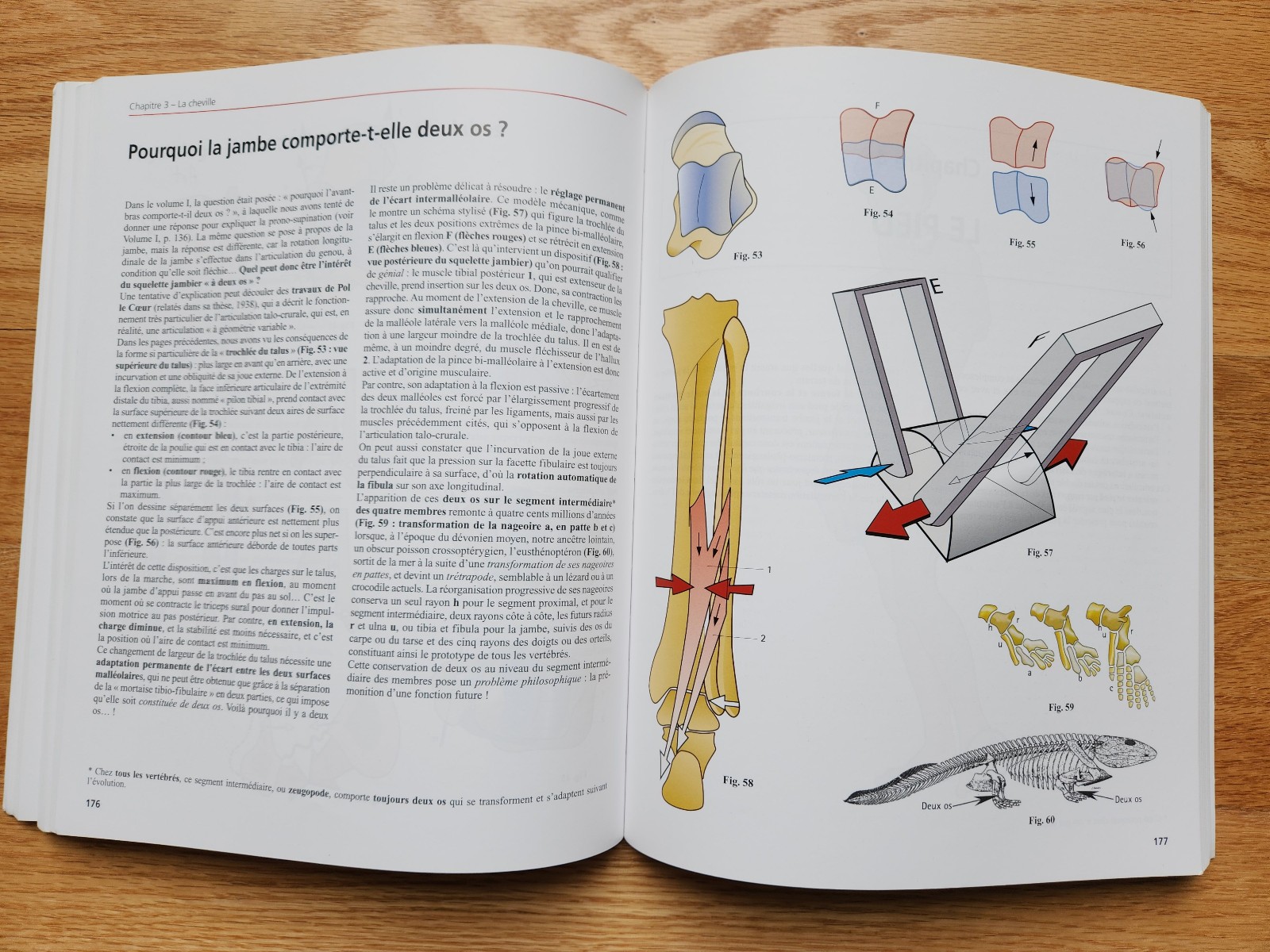 Anatomie Fonctionnelle – A.I. Kapandji – 7th Edition – 3-Volume Set – French
