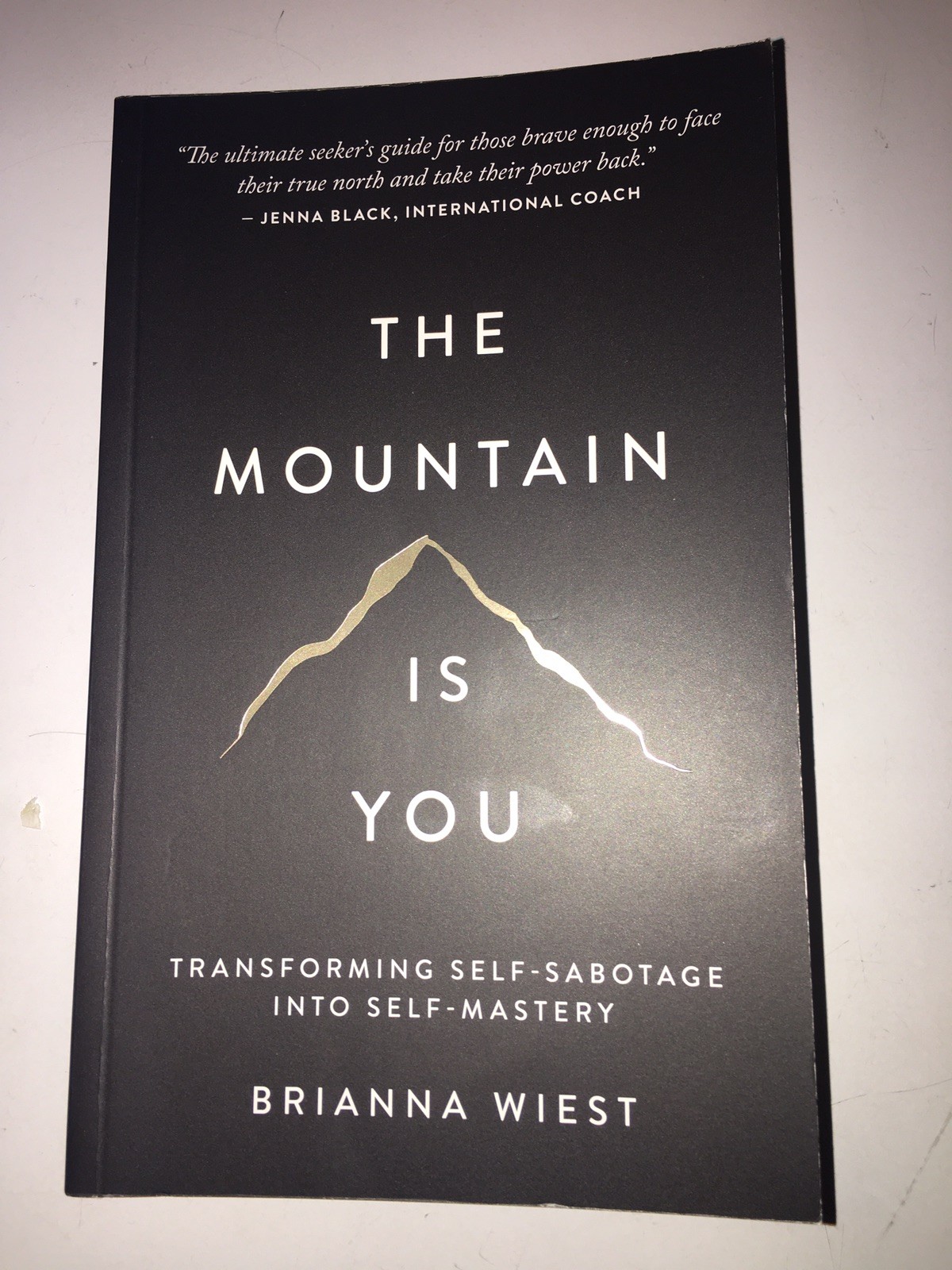 The Mountain Is You: Transforming Self-Sabotage Into Self-Mastery