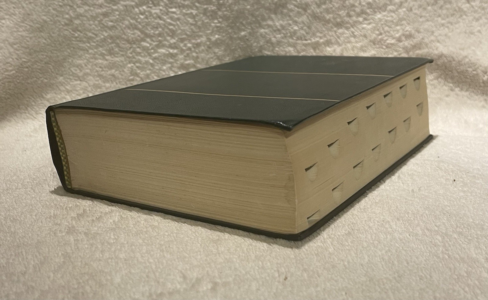 Taber’s Cyclopedic Medical Dictionary – 1981 HC Second Printing