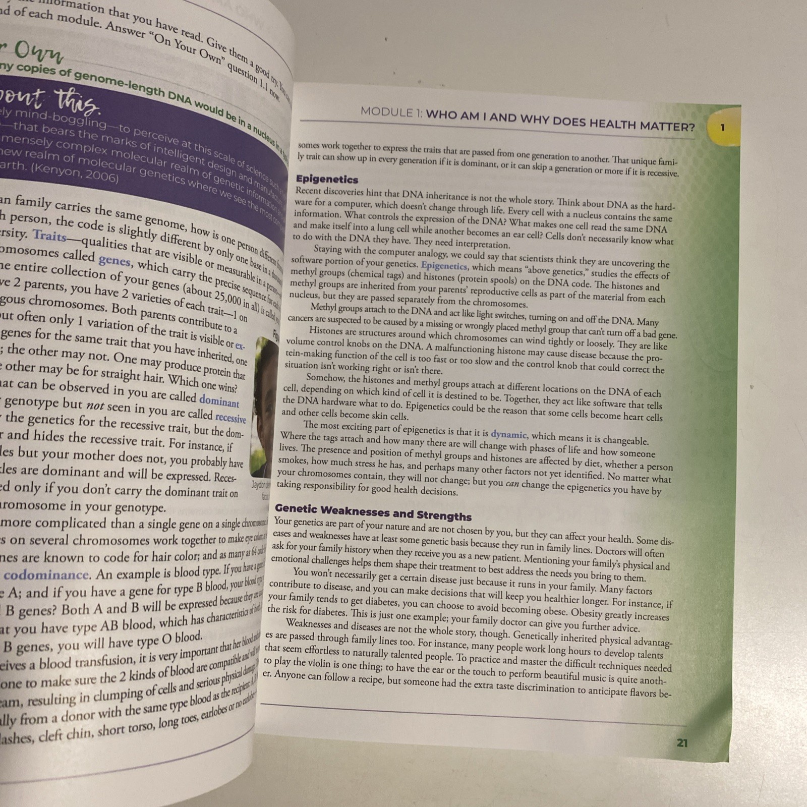 Apologia Exploring Creation with Health and Nutrition 2nd Edition,