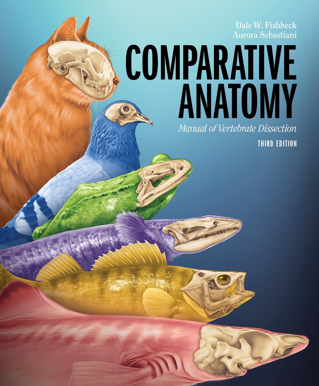COMPARATIVE ANATOMY: MANUAL OF VERTEBRATE DISSECTION BY Dale W. Fishbeck **NEW**
