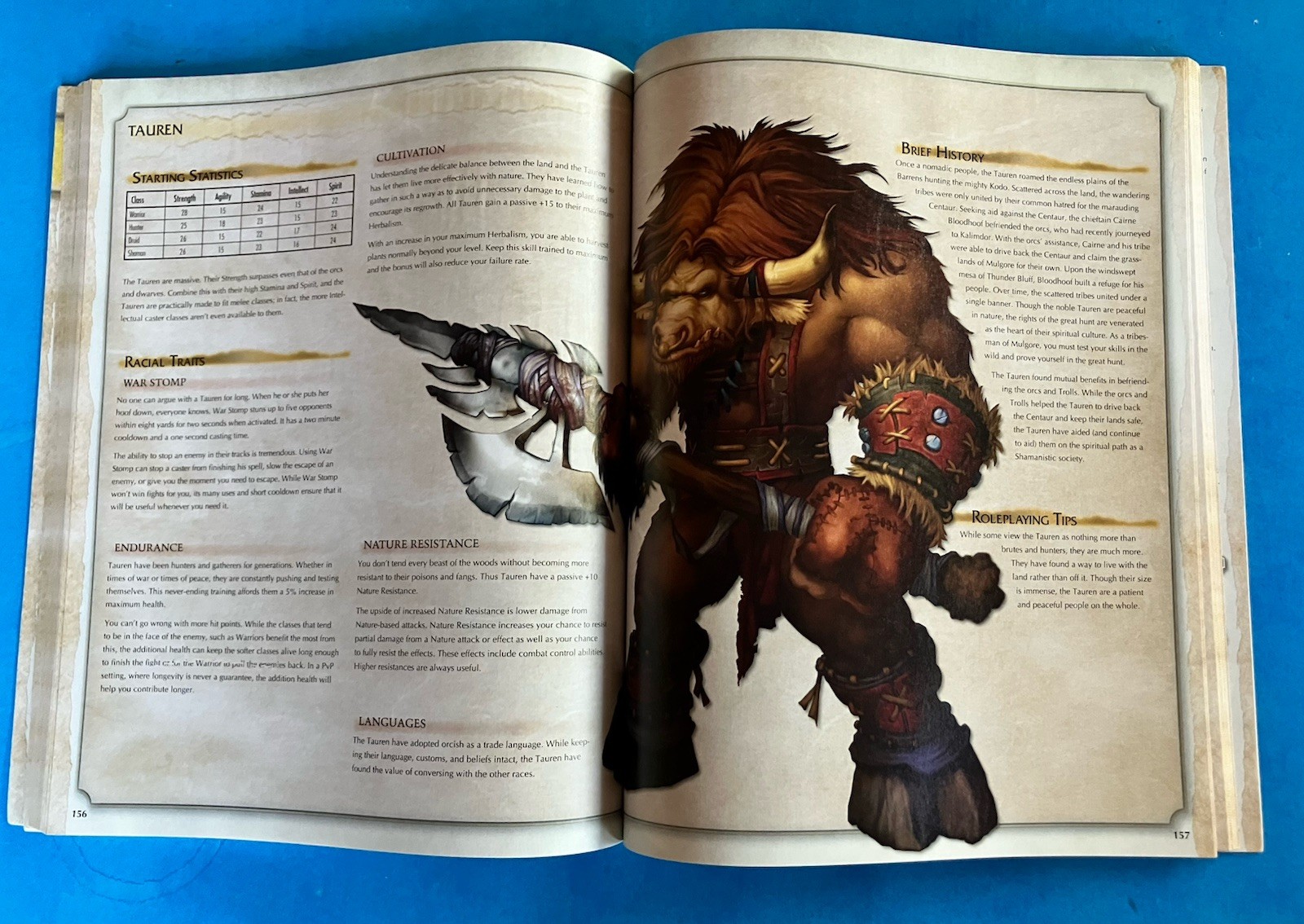 Brady Games Battle Chest Guide for Strategy for World Of Warcraft Video Game