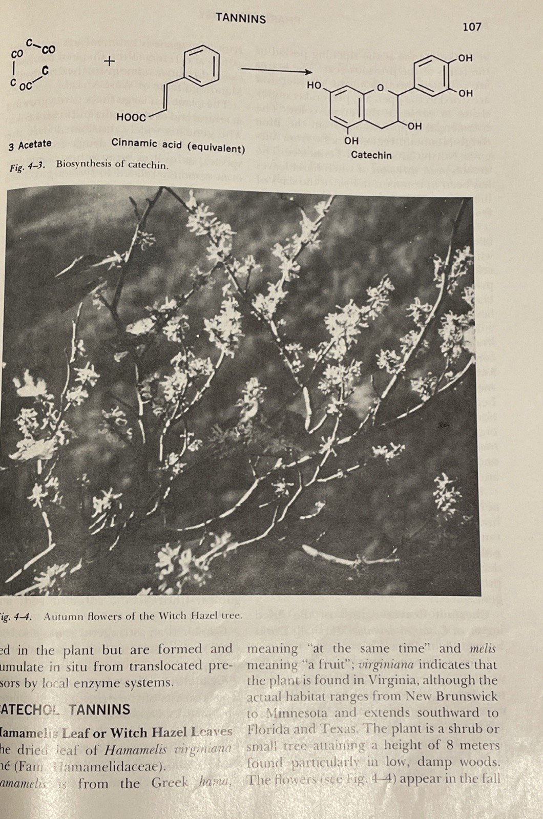 PHARMACOGNOSY Vintage Textbook by Varro Tyler, Lynn Brady & James Robbers 1976