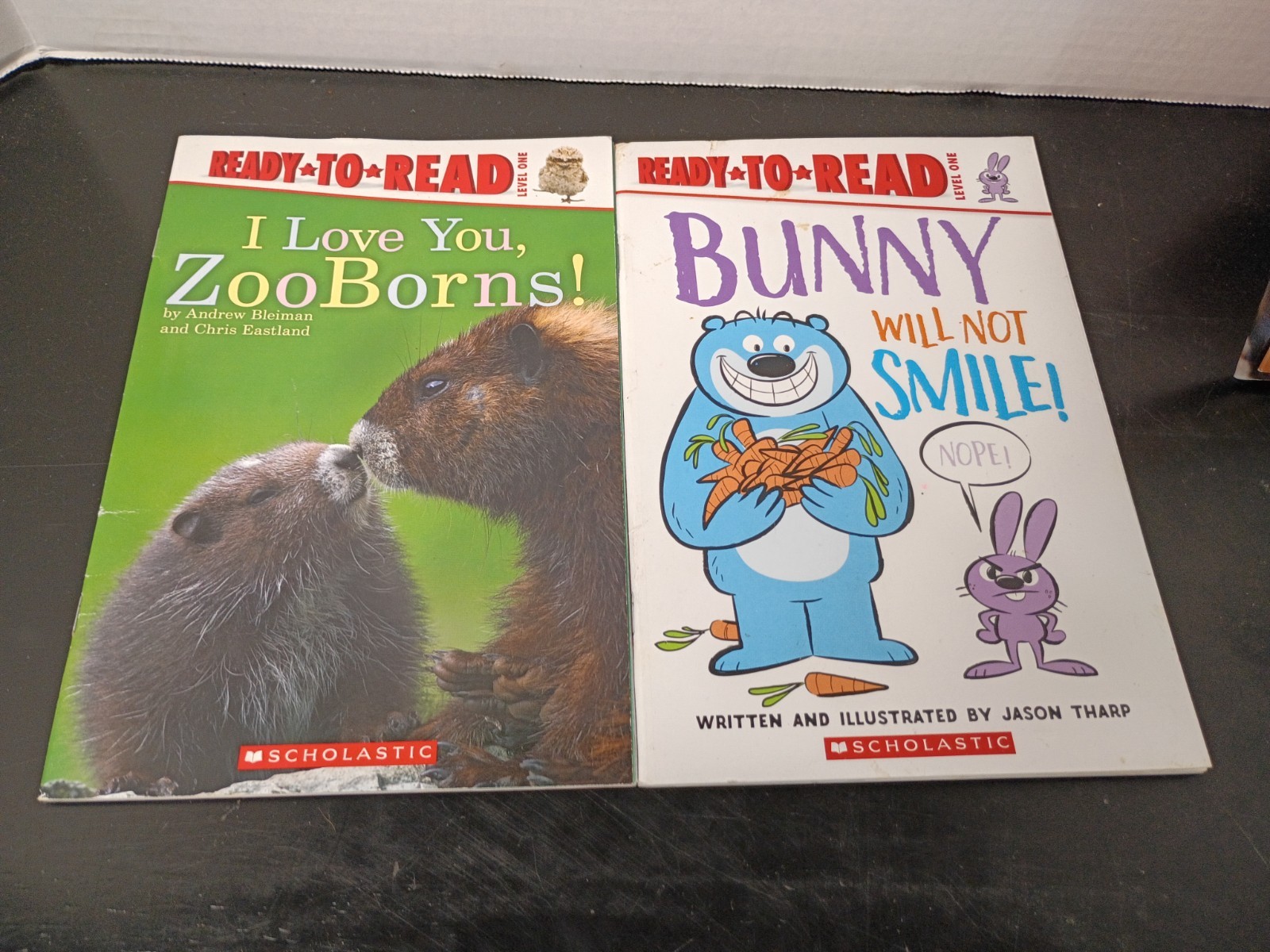 Homeschool Lot of 51 Readers Early-2 Grade Books and One Workbook