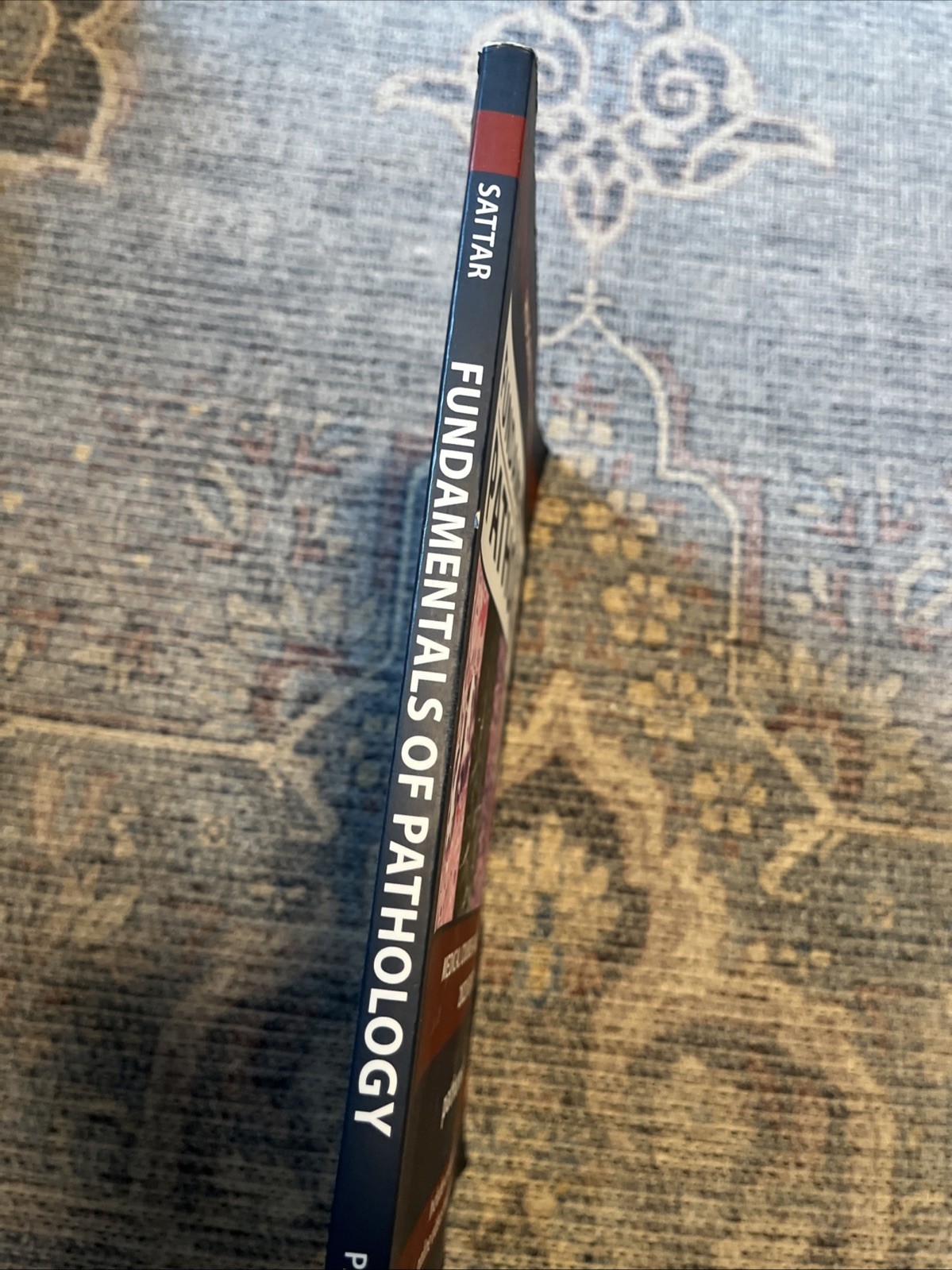 Fundamentals of Pathology – Paperback, by Sattar Husain A. – Acceptable a
