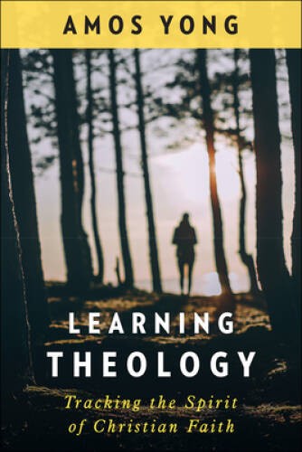 Learning Theology: Tracking the Spirit of Christian Faith – Paperback – GOOD