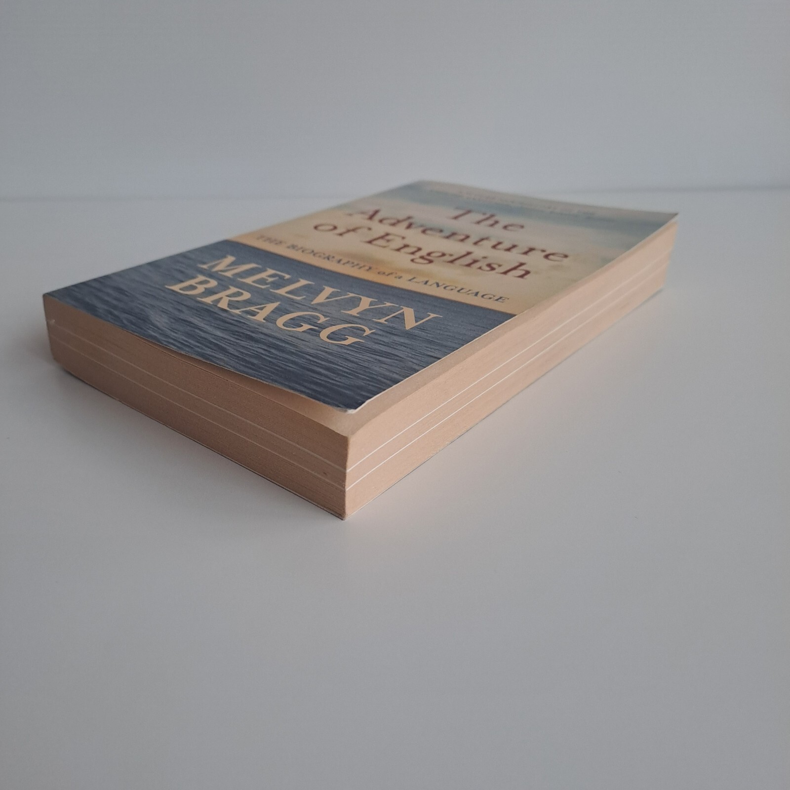 The Adventure Of English: The Biography of a Language by Melvyn Bragg Paperback