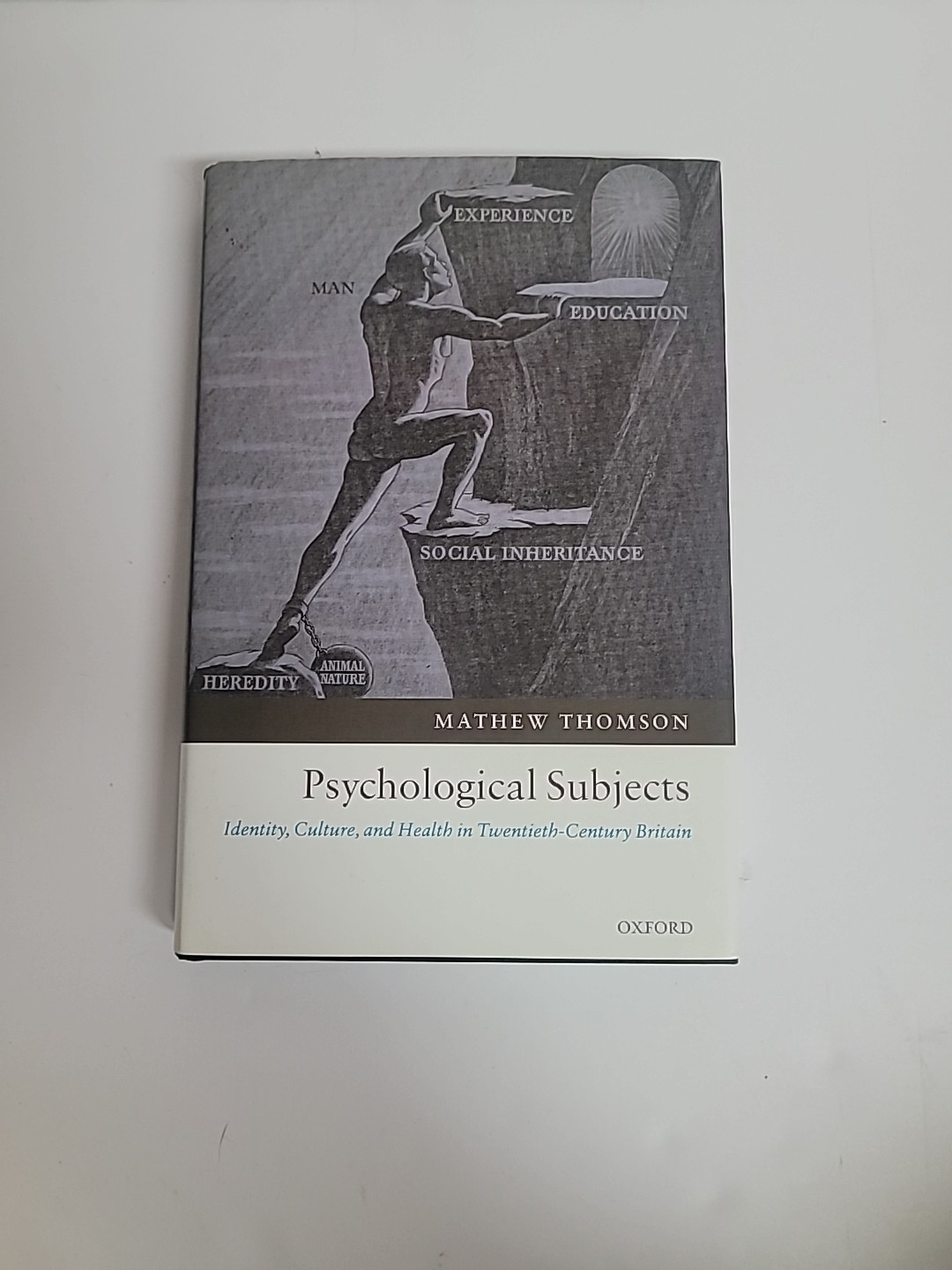 Psychological Subjects : Identity, Culture, and Health in Twentie