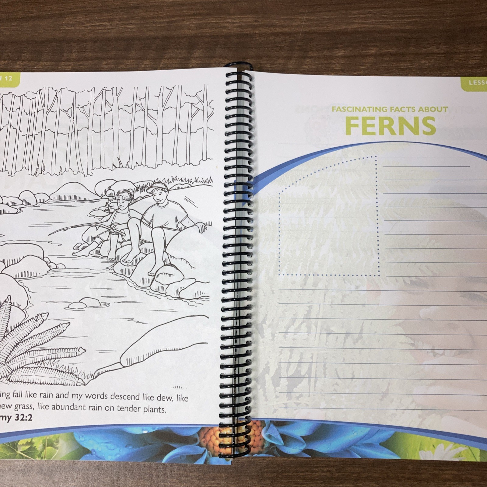 Exploring Creation with Botany Notebooking Journal 2020 Spiral 2nd Edition