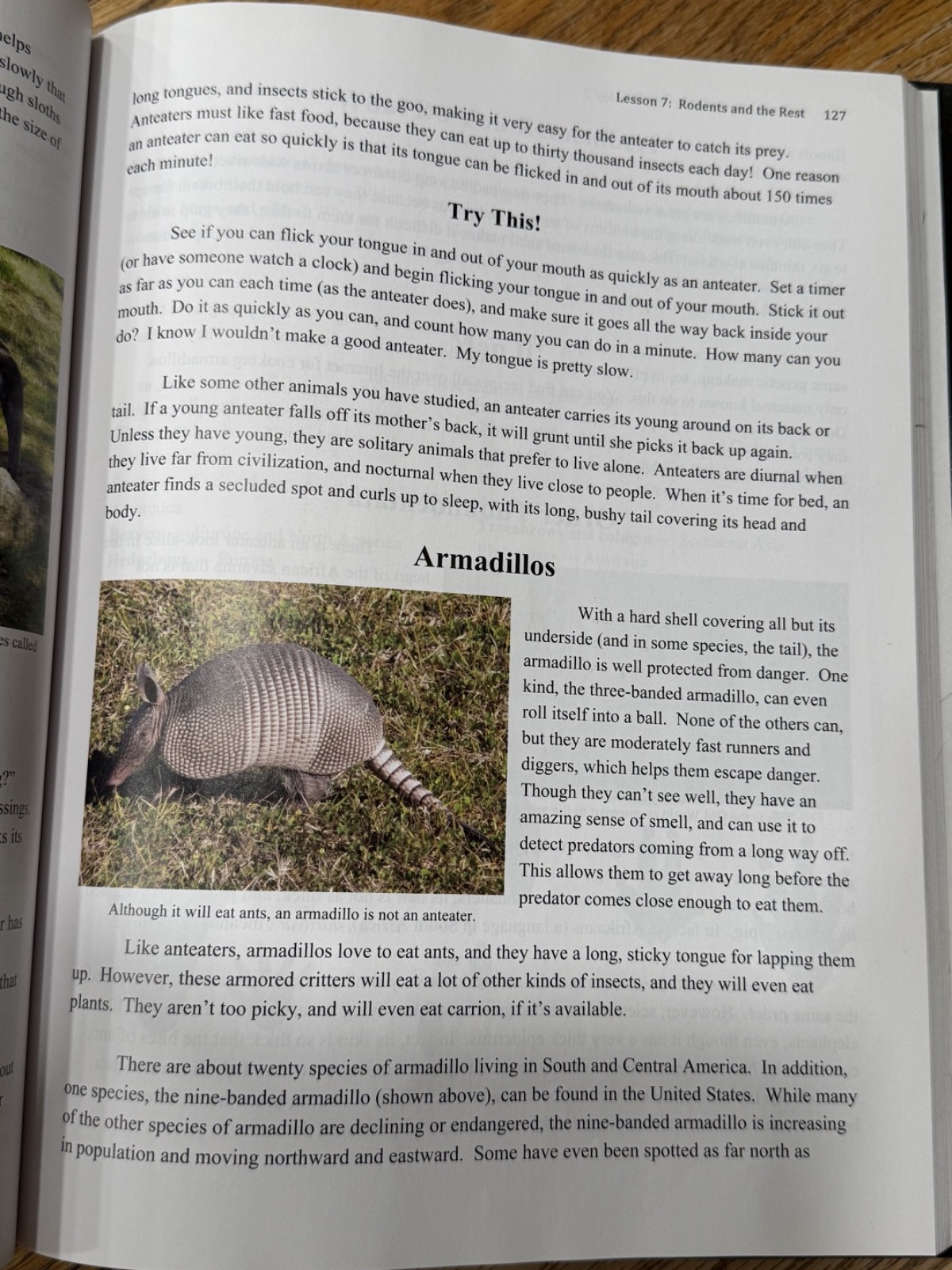 Apologia Young Explorer Series Exploring Creation With Zoology 3- gently used