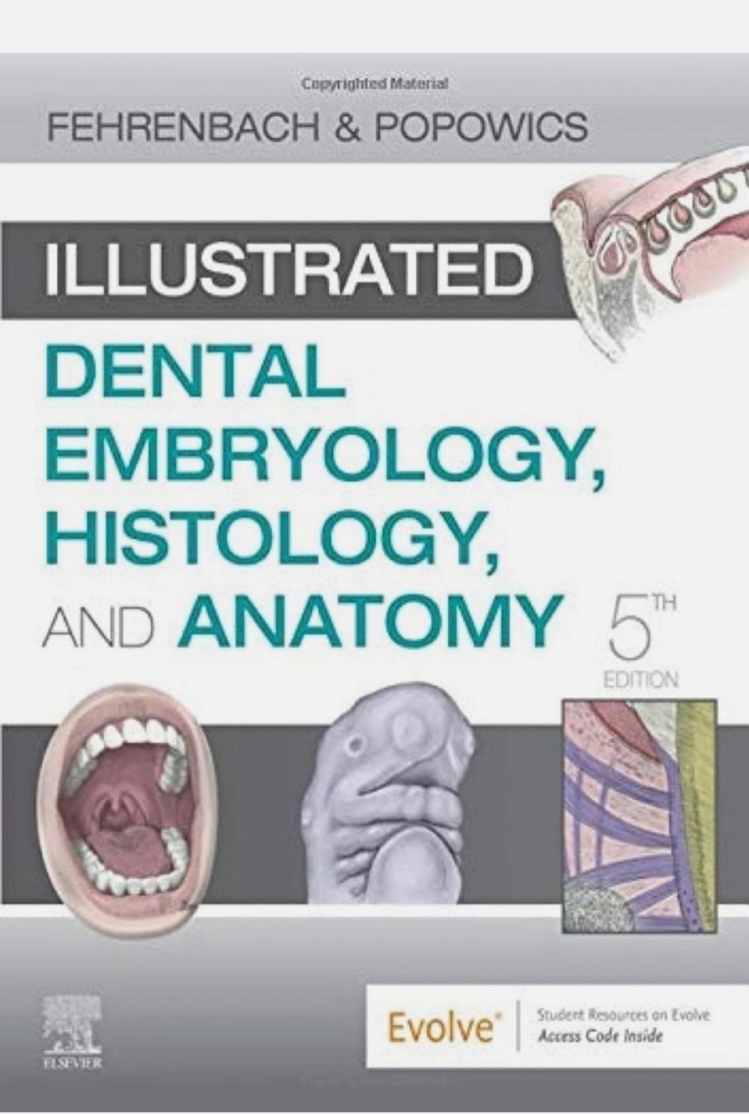 Illustrated Dental Embryology, Histology, and Anatomy by Margaret J. Fehrenbach