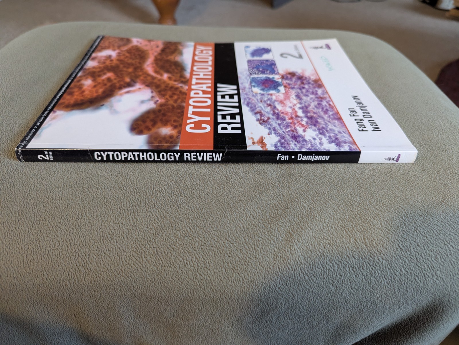 Cytopathology Review 2nd Edition by Fan, Fang, M.D. & Damjanov, Ivan, M.D.