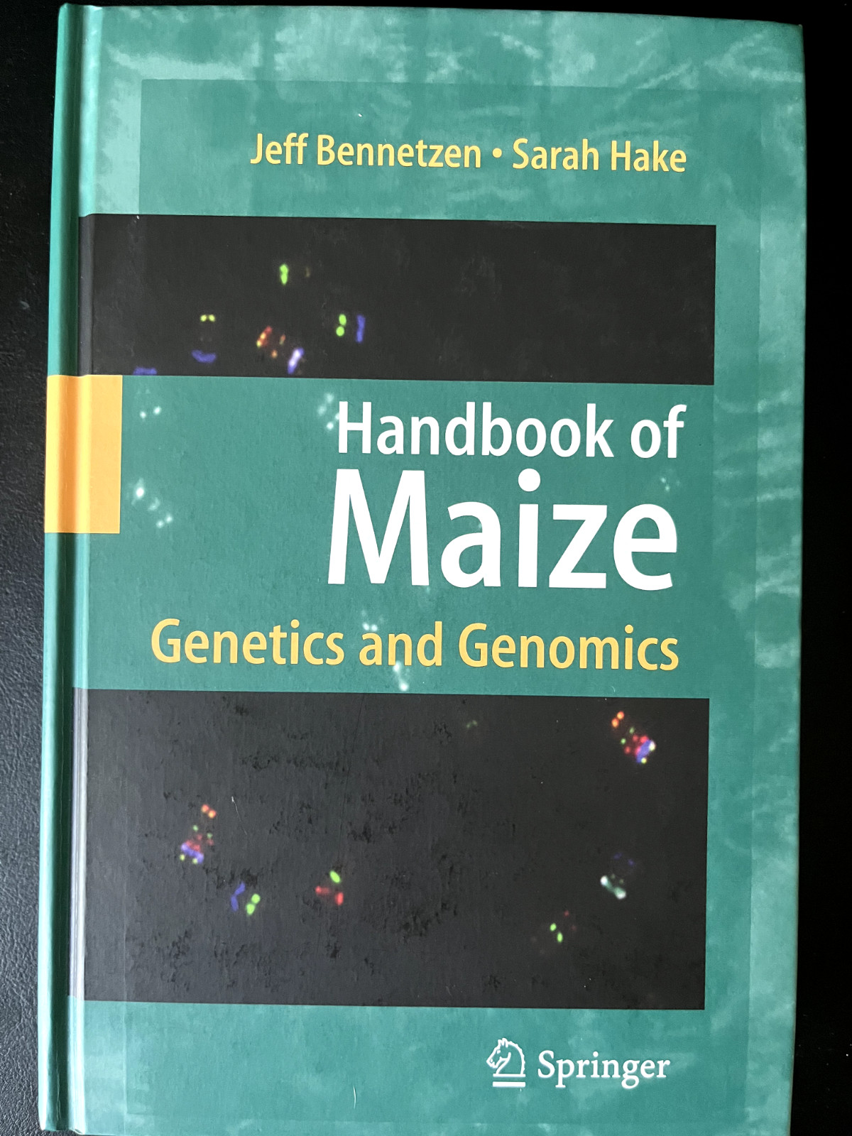 Handbook of Maize: Genetics And Genomics. Hardcover. Jeff Bennetzen; Sarah Hake