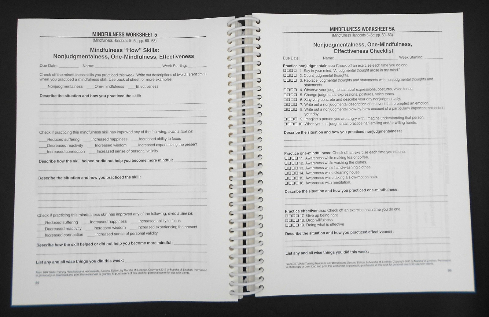 DBT SKILLS TRAINING HANDOUTS & WORKSHEETS 2nd ED by LINEHAN 2015 SPIRAL PB VG