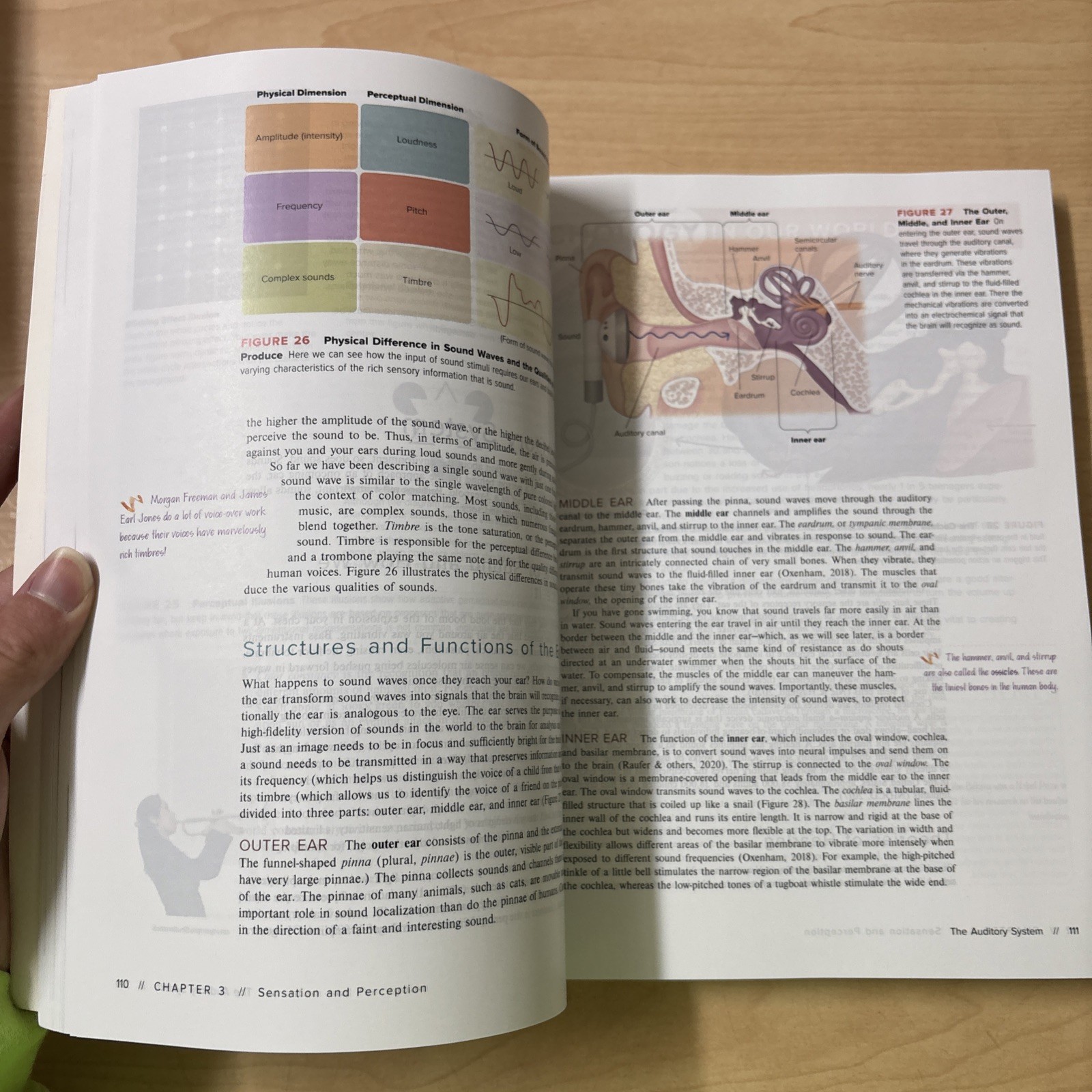 Experience Psychology 5th Edition International Student Edition Laura A. King VG