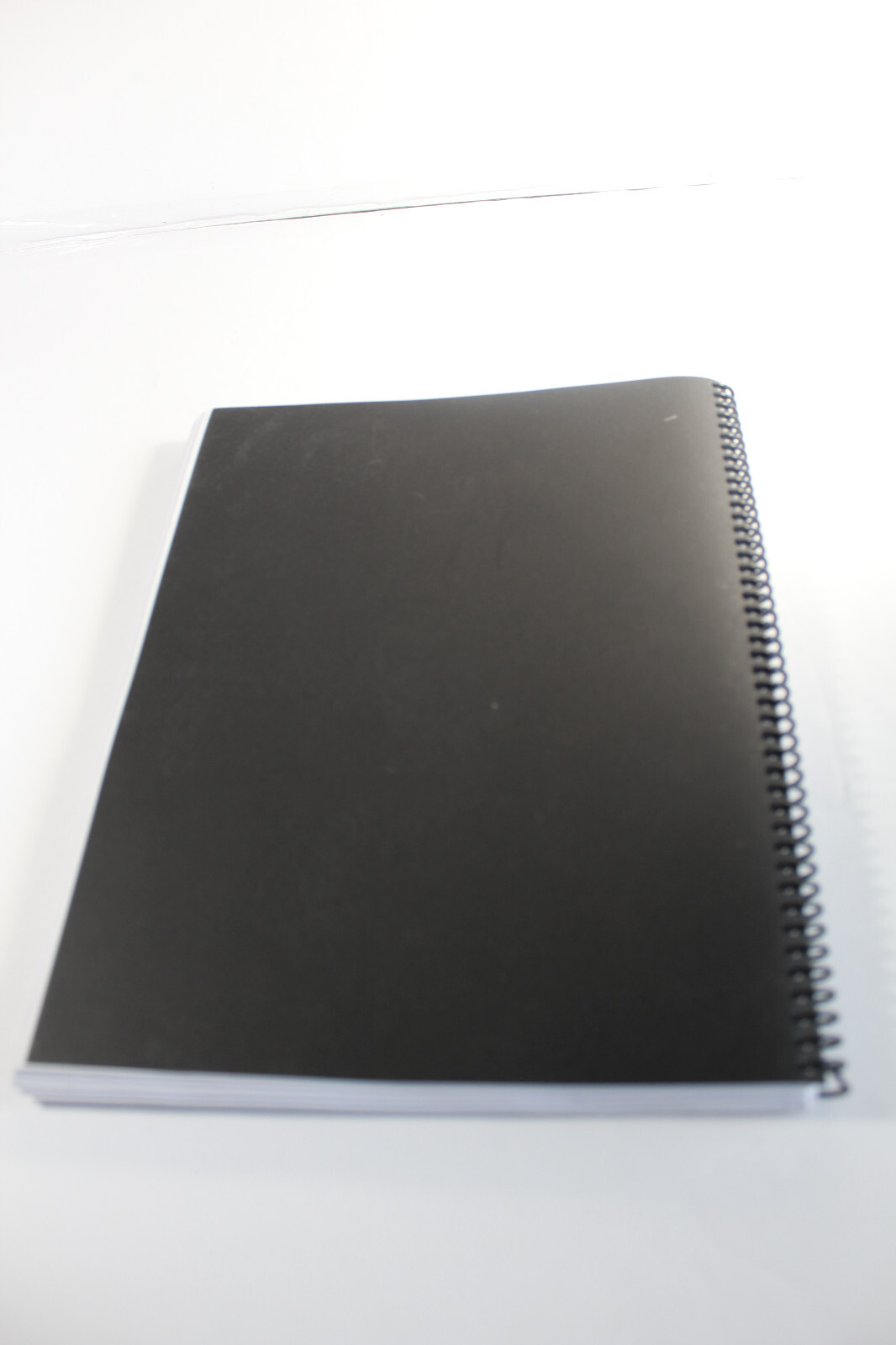 Embodyoga Study Guide & 200 Hr. Training Manual Spiral Bound 243 pp. 9″ x 11″